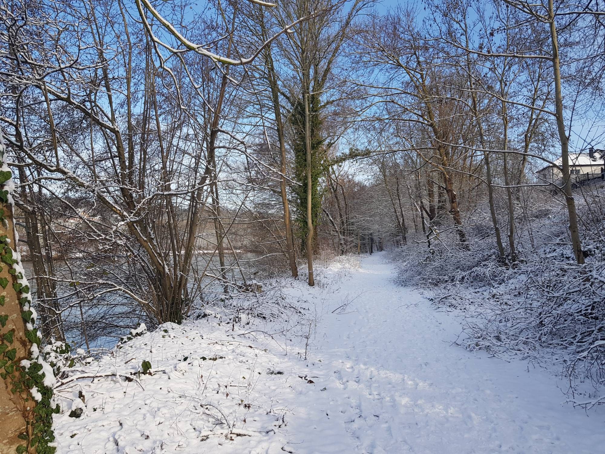 Bord de l'Oise sous la neige.