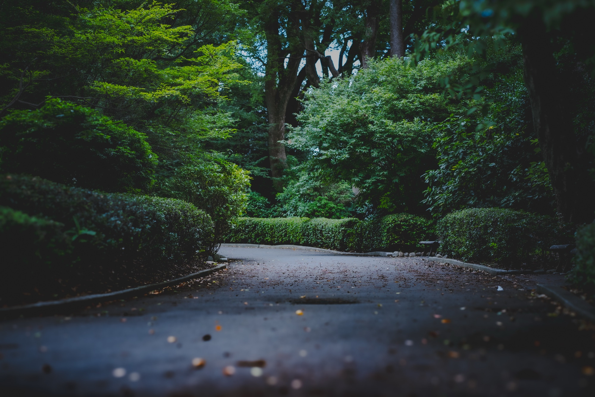 Nature trail