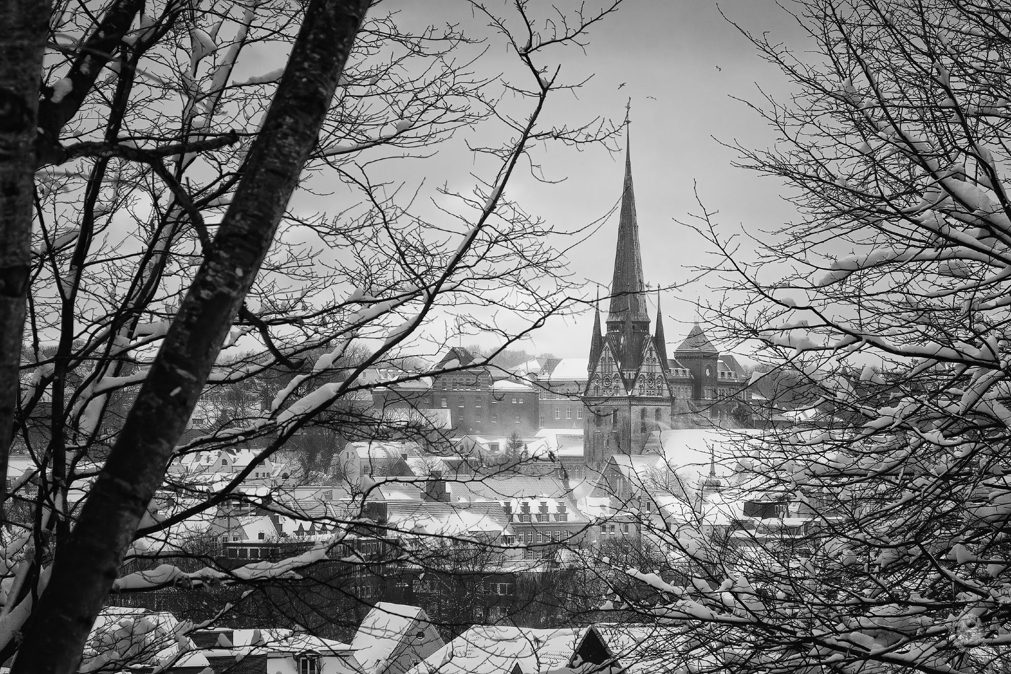 Schwarz/weiß Aufnahme der Flensburger Nikolaikirche im Flensburger Winter, irgendwann in den letzten Jahren. Die Dächer sind schneebedeckt, der Wind weht den Schnee über die Stadt.