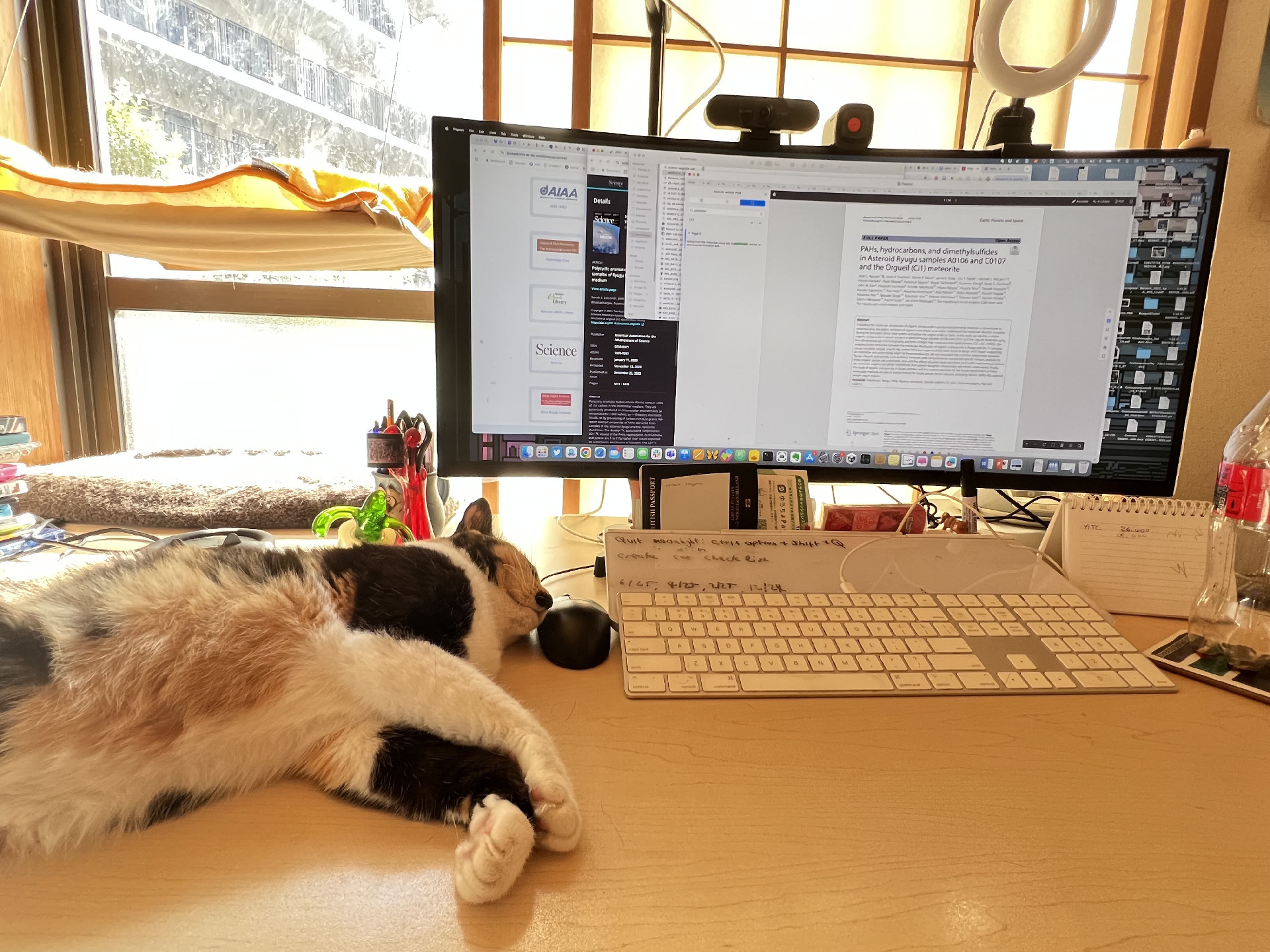 A calico cat is lying on a desk in front of a computer screen showing a journal paper that I’m currently checking to cite in the paper I’m writing. 