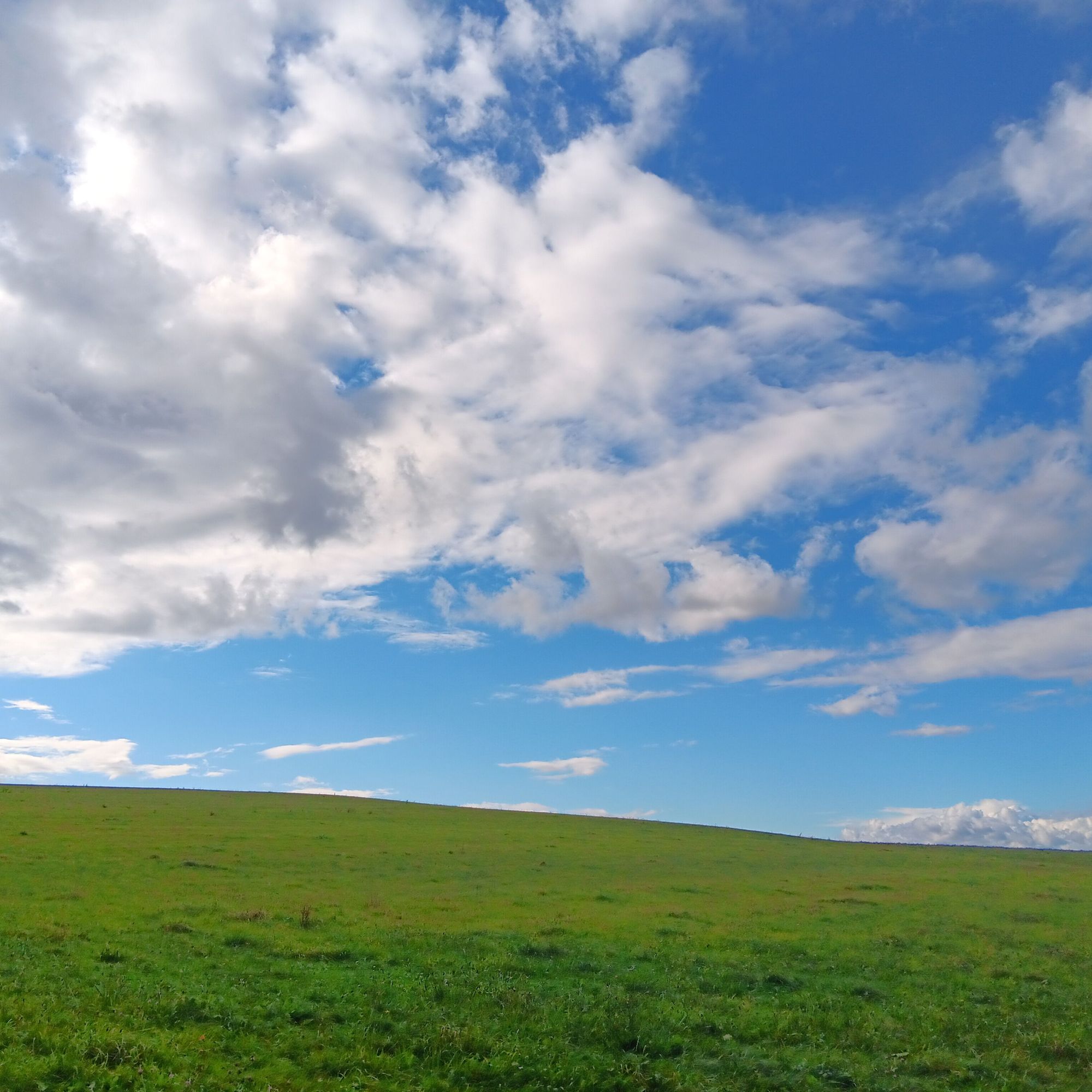 Grüne Wiese mit leichtem Abhang, darüber ein blauer Himmel mit weißen und grauen Wolken.