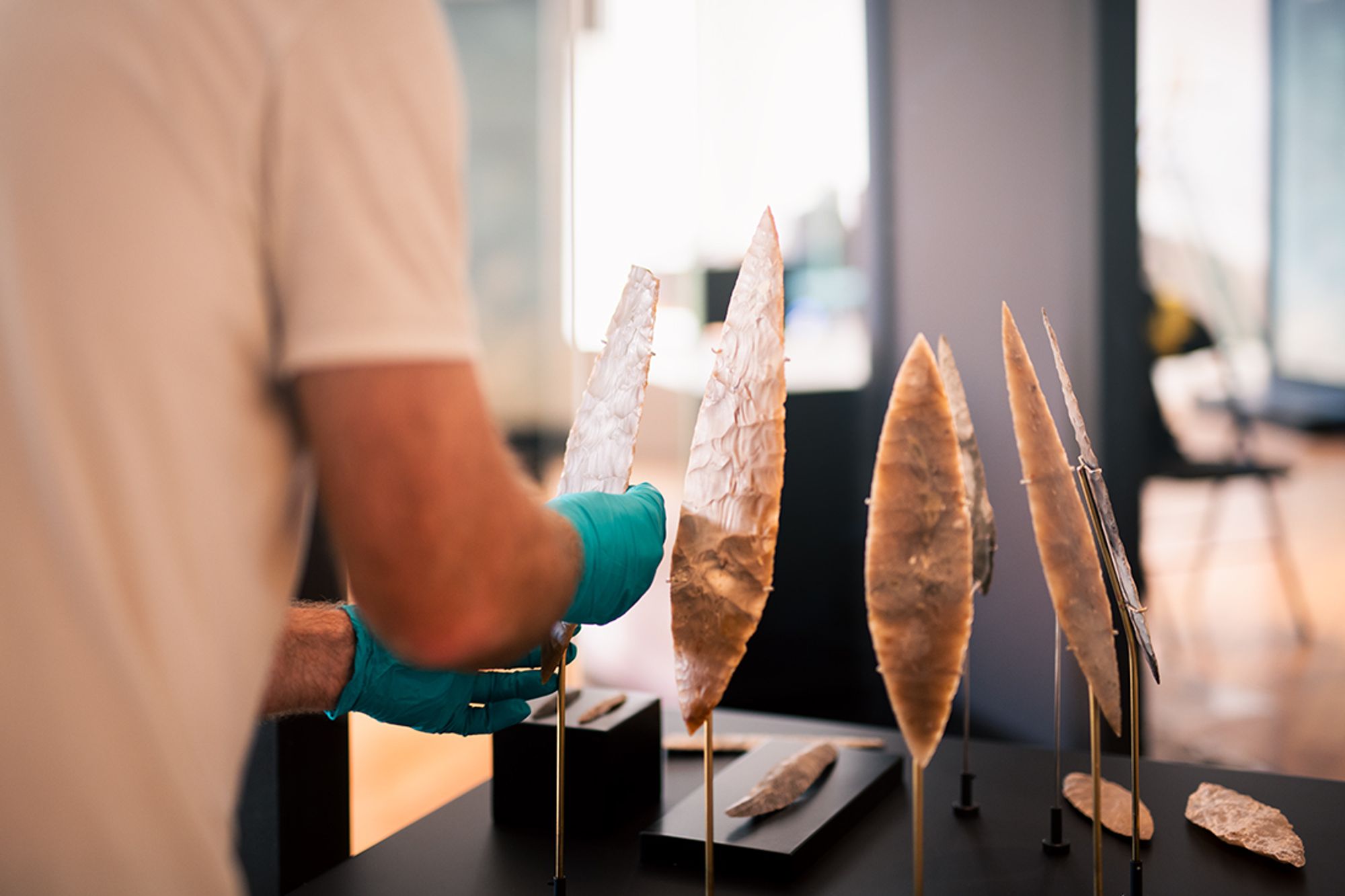 Homme portant des gants et installant des lames de silex blond en vitrine de musée