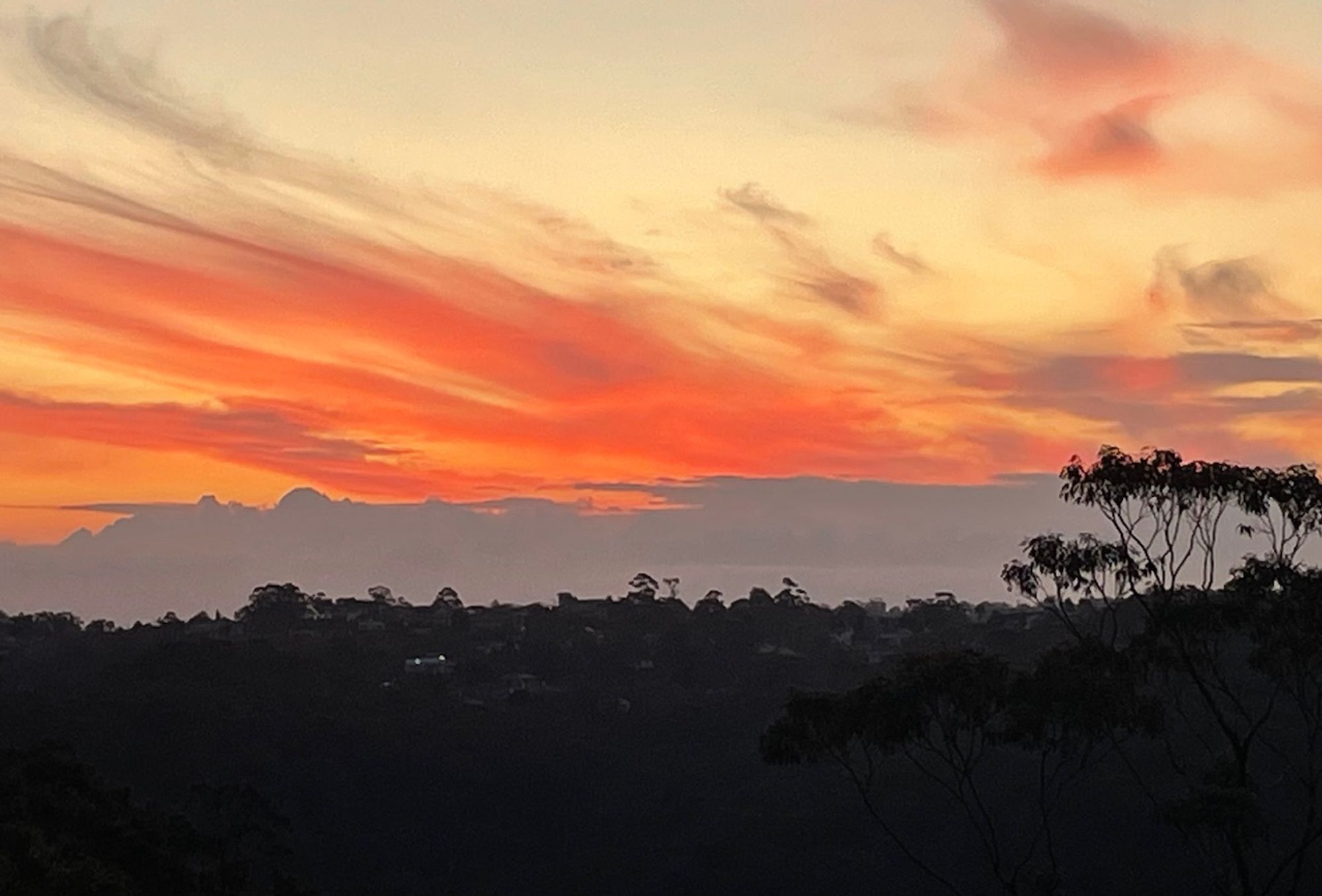 Photo of a deep orange and red sweeping streaked sunset above a grey line of low clouds above a distant silhouetted bush land horizon and wiry gumtree to the far right