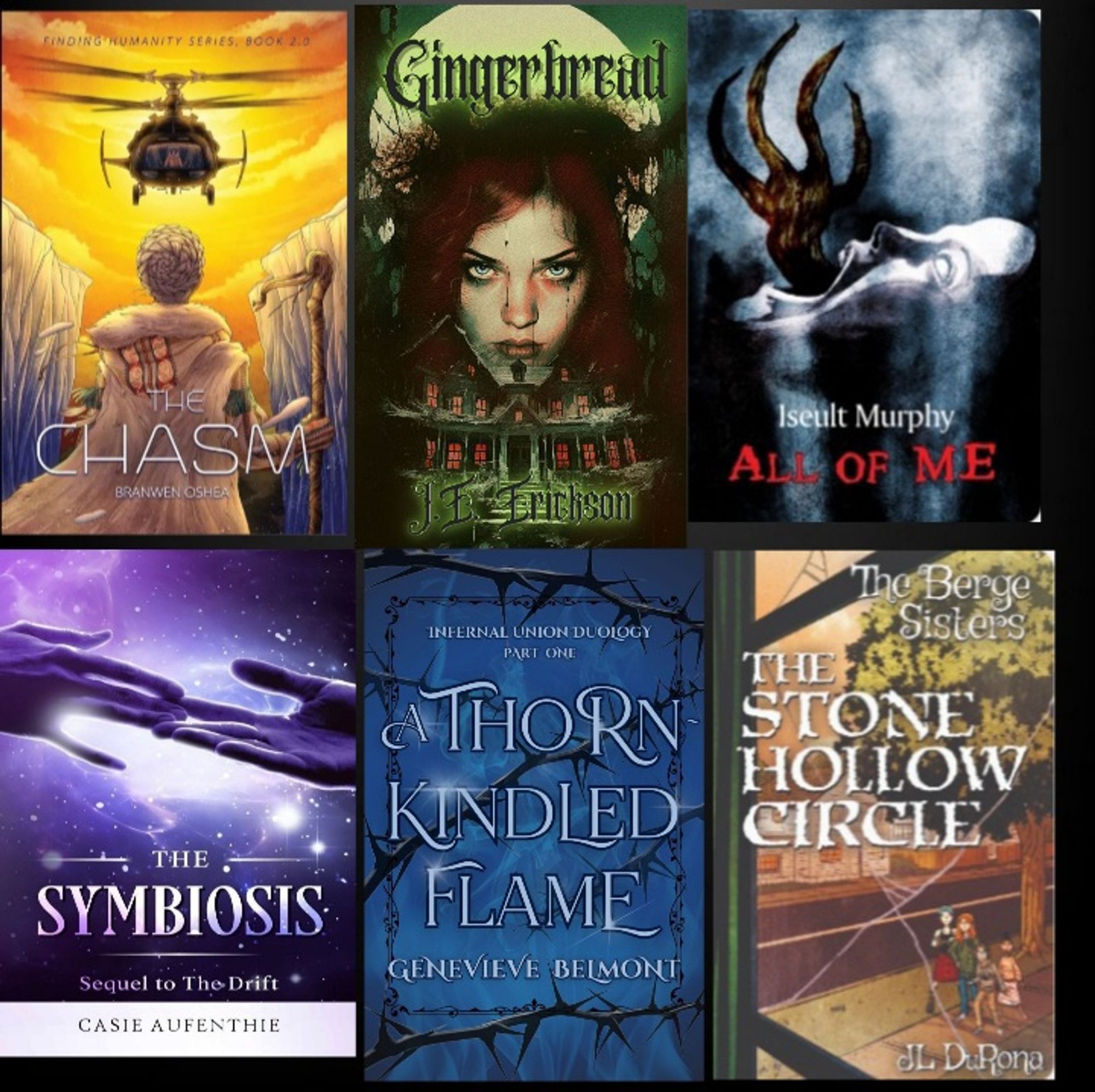 Books I read in the last 2 months: The Chasm by Branwen OShea, Gingerbread by JE Erickson, All of Me by Iseult Murphy, The Symbiosis by Casie Aufenthie, A Thorn Kindled Flame by Genevieve Belmont and The Stone Hollow Circle by JL Durona