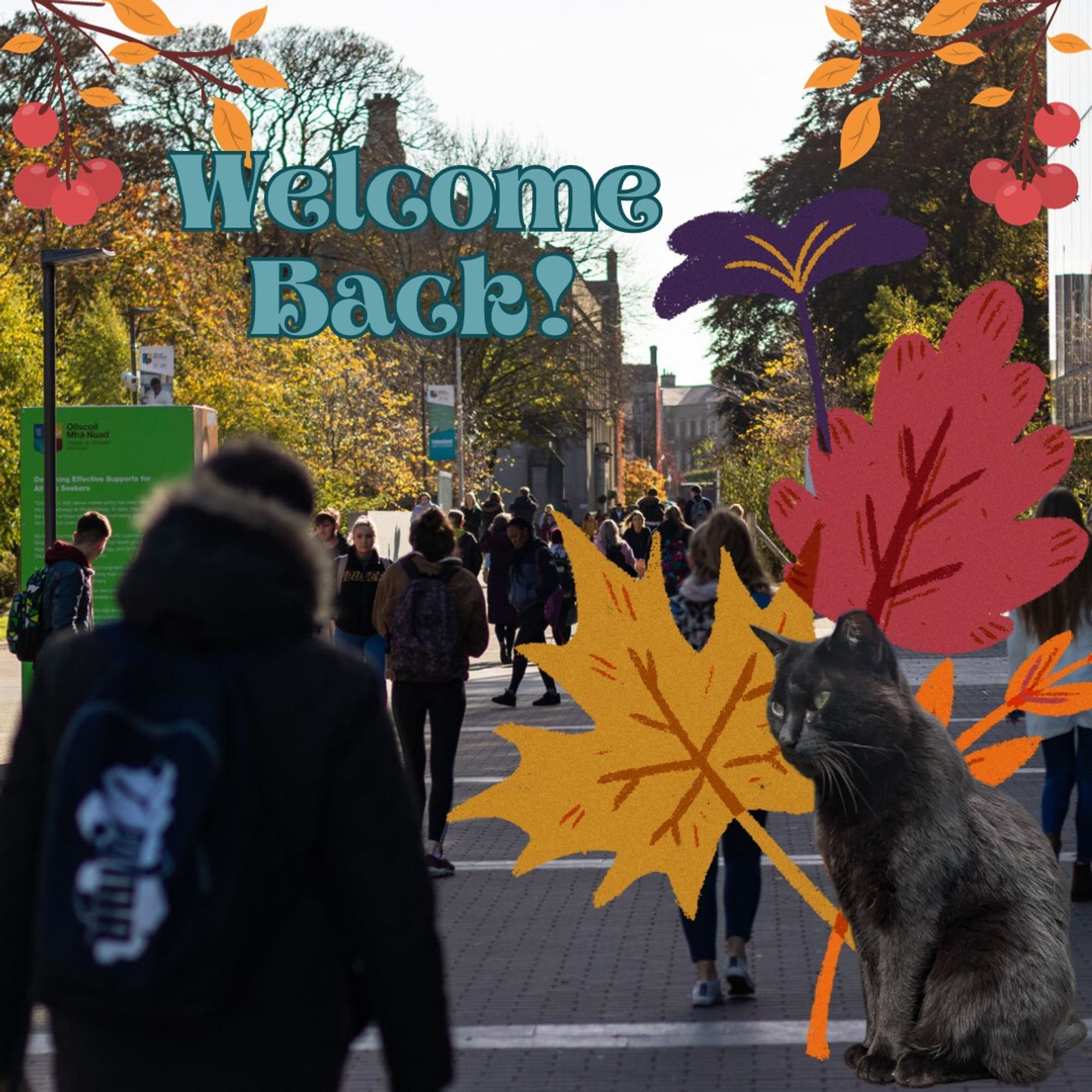 photo of students outside the library with graphics of autumn leaves and seamus the black cat.