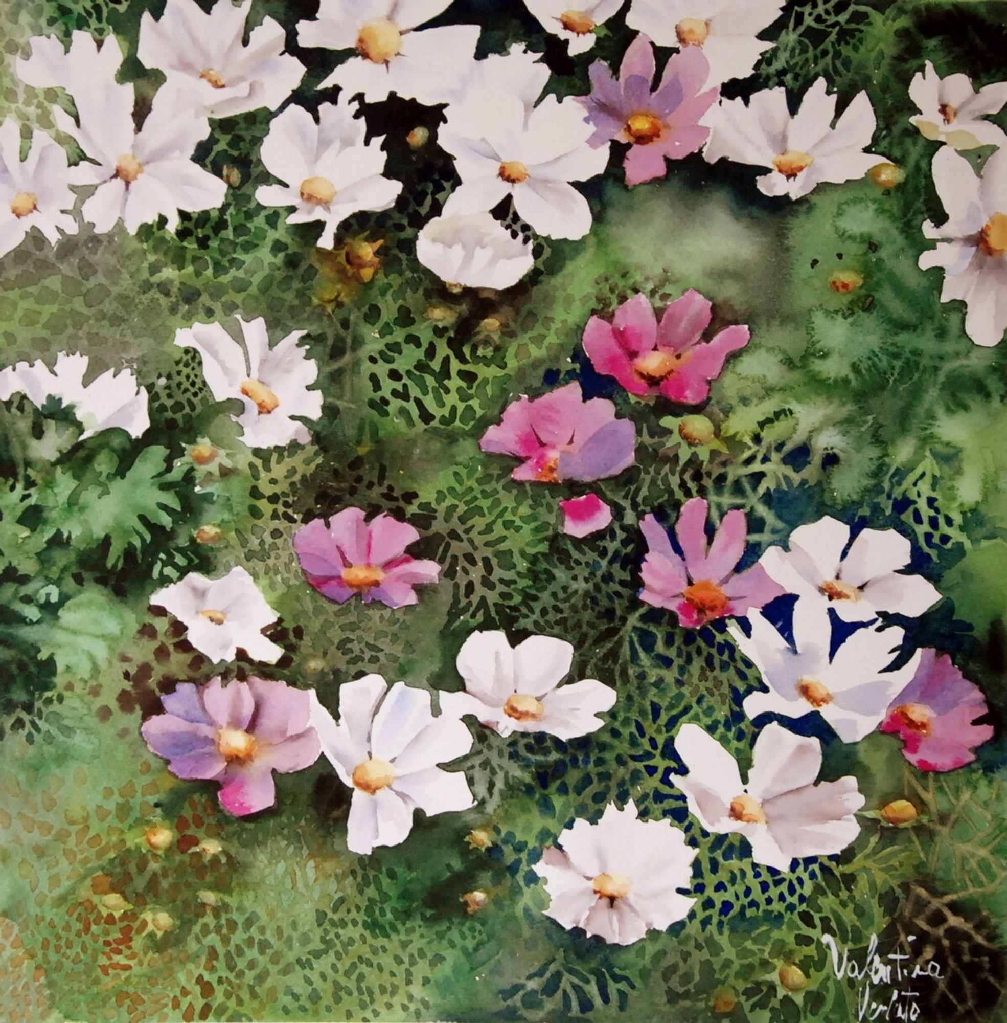 Watercolour painting of white daisy like flowers.