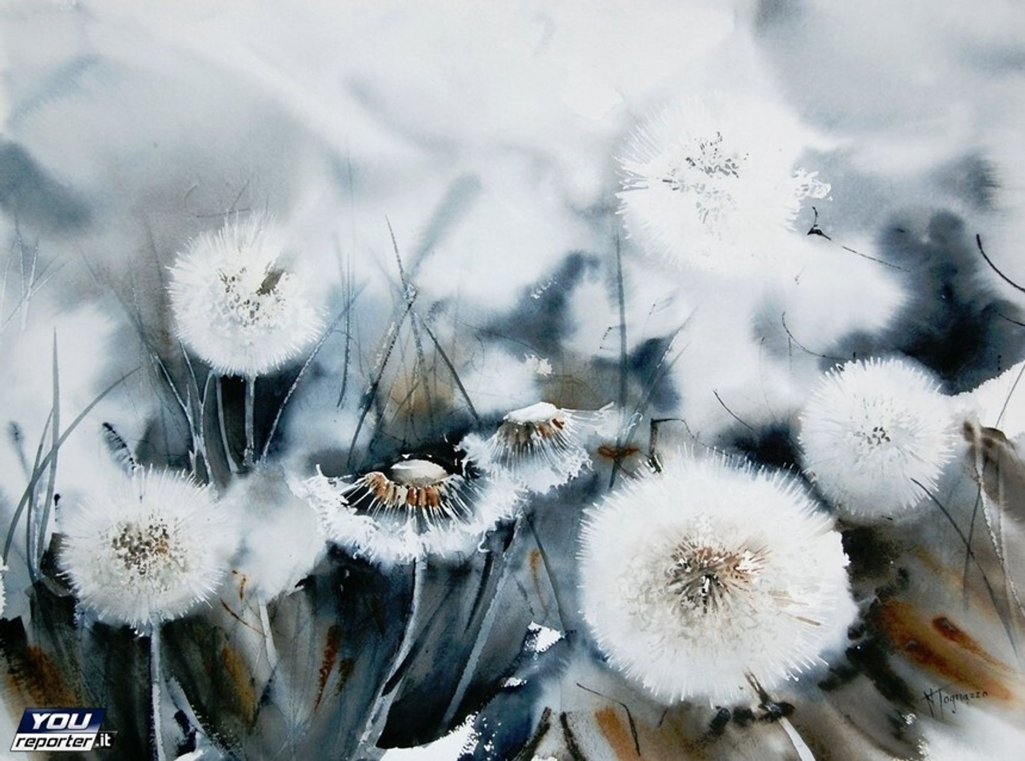 Watercolour painting of dandelion heads