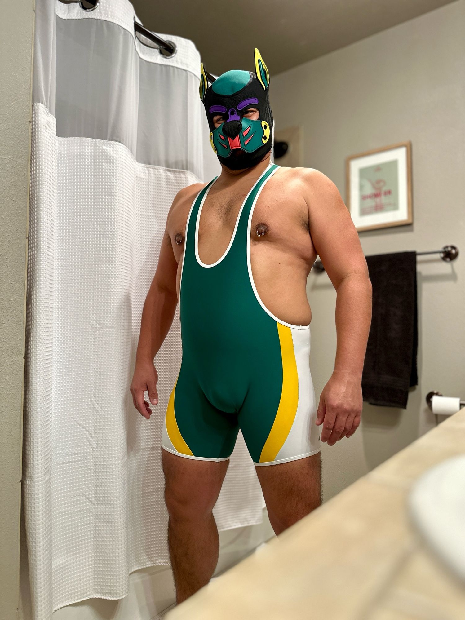 The front side of Pup Fornido in a white, yellow, and green Aussiebum singlet.