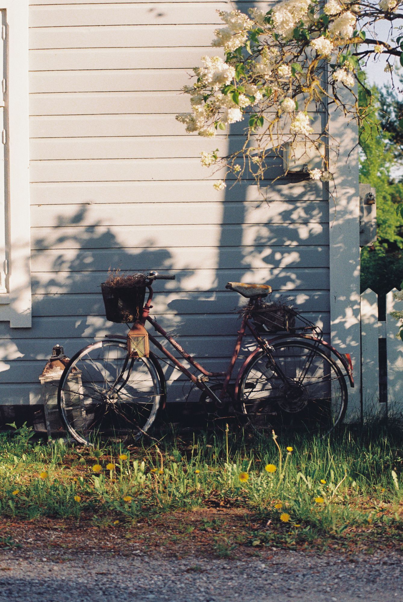 A rusty bike in the sunlight