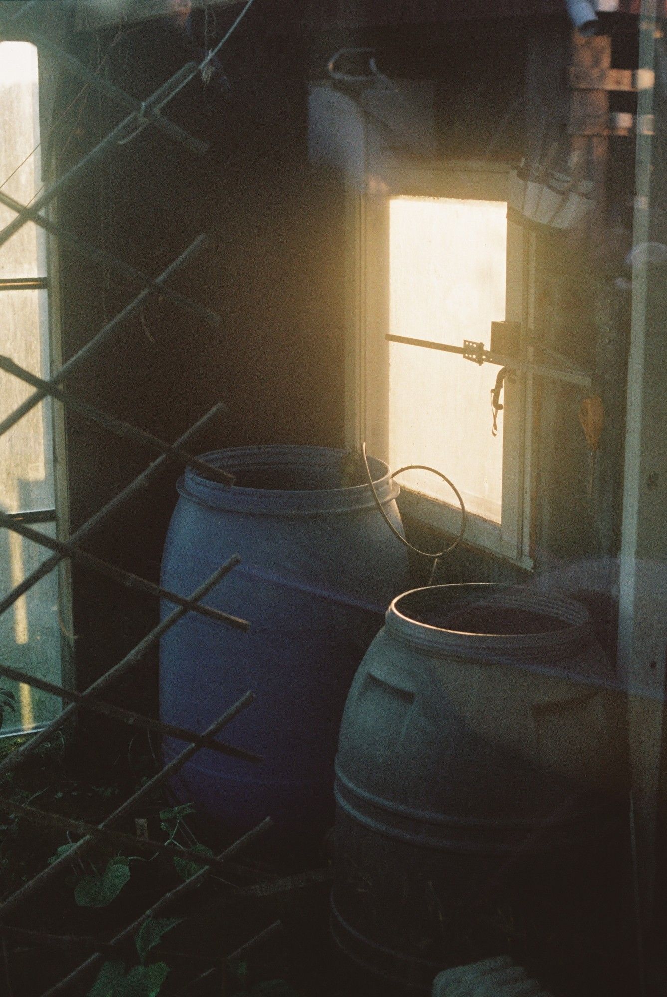 Barrels and a sunlit glowing window