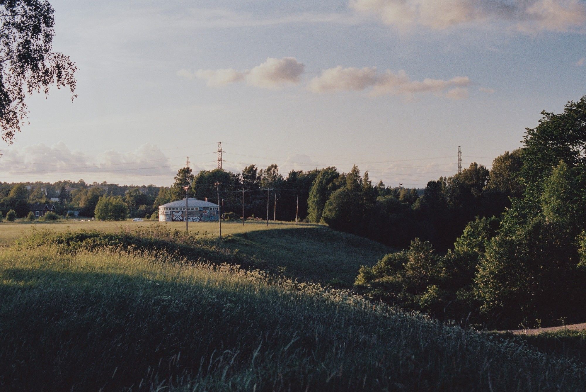 A hut in curvy meadows