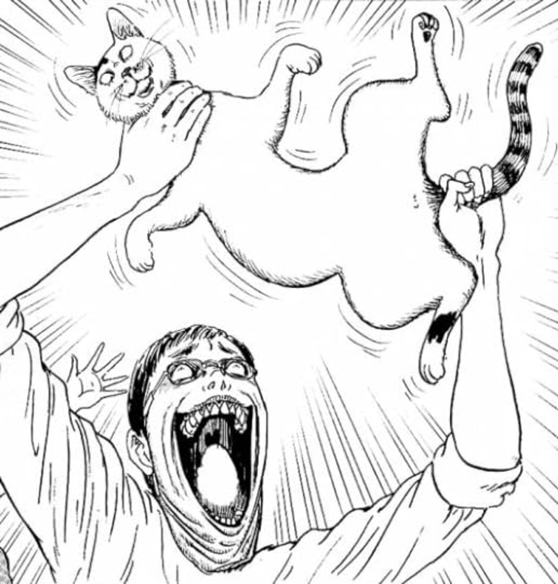 A screenshot of Junji Ito's Cat Diary, which shows the author ecstatically waving a cat in the air with a horrifying expression, a hand reaching in from offscreen.