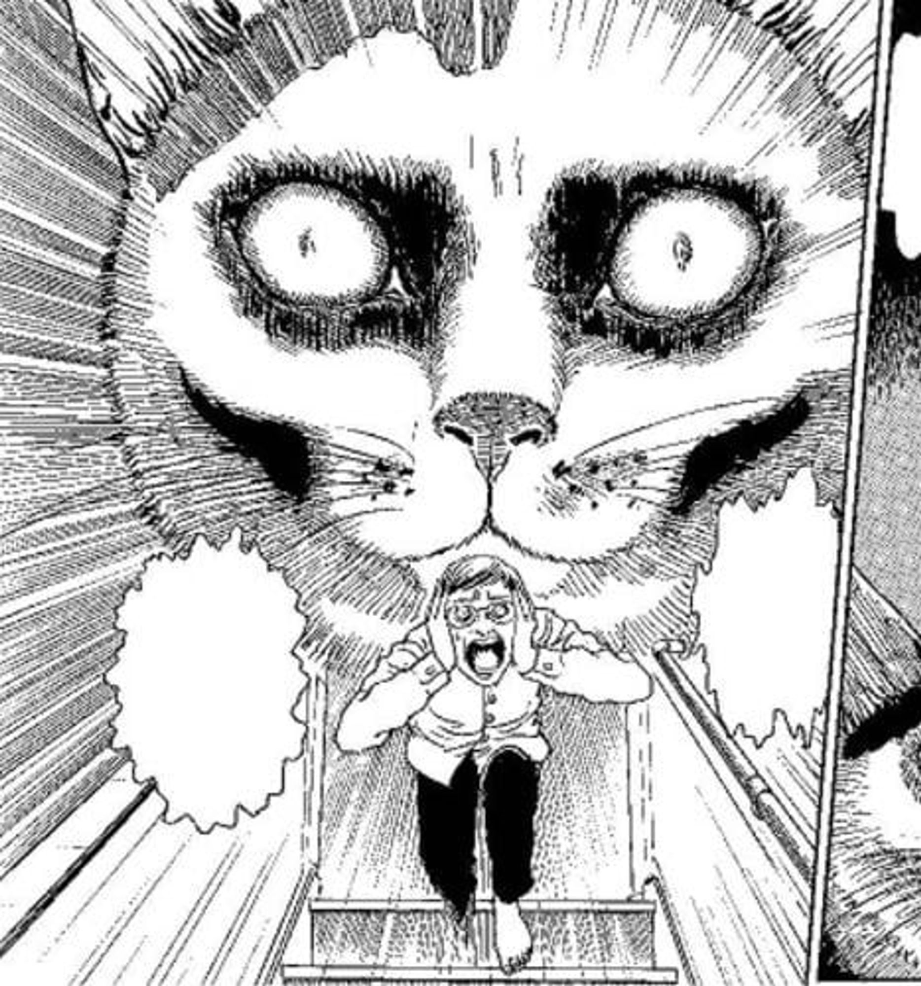 A screenshot from Junji Ito's Cat Diary, showing the author fleeing in terror down the stairs while the specter of his cat looms behind him with a haunting expression.