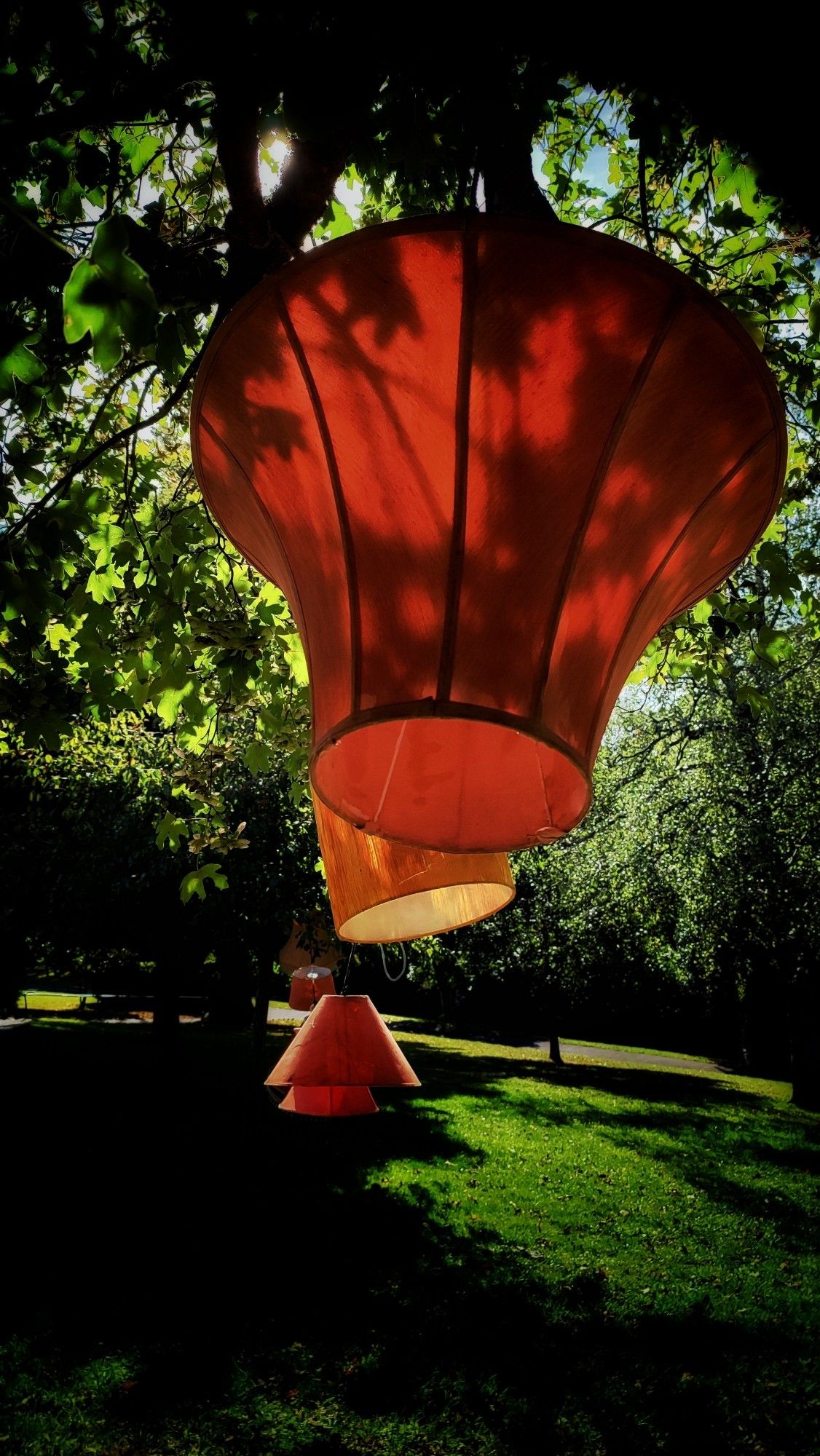 Some orange lampshades hanging on trees in a line in a local park. The sun is shining which creates shadows dappled on the lampshades and ground.