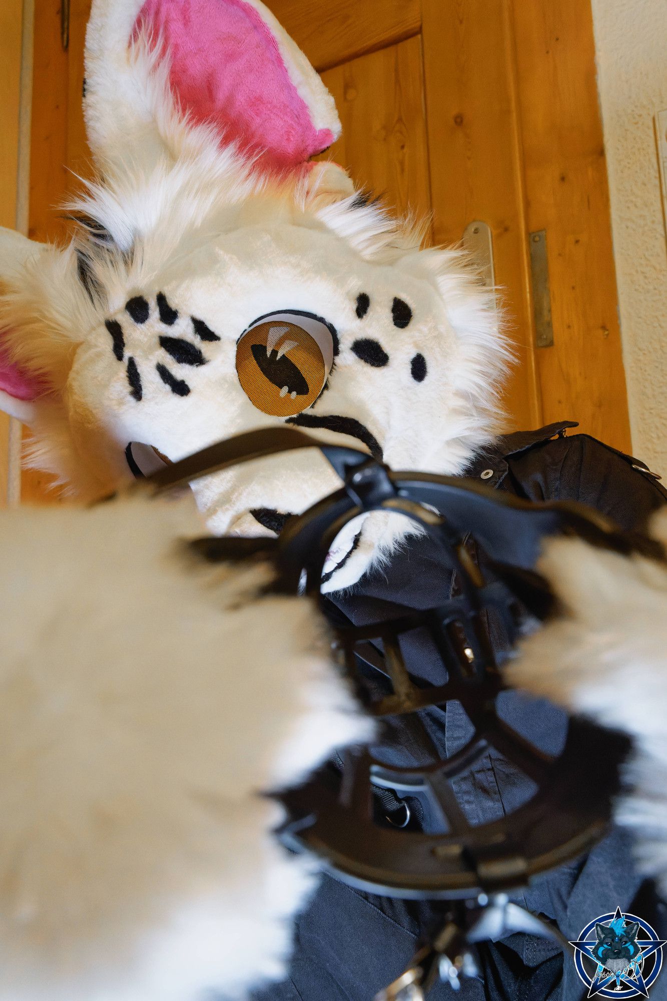 A serval fursuiter holding a muzzle.