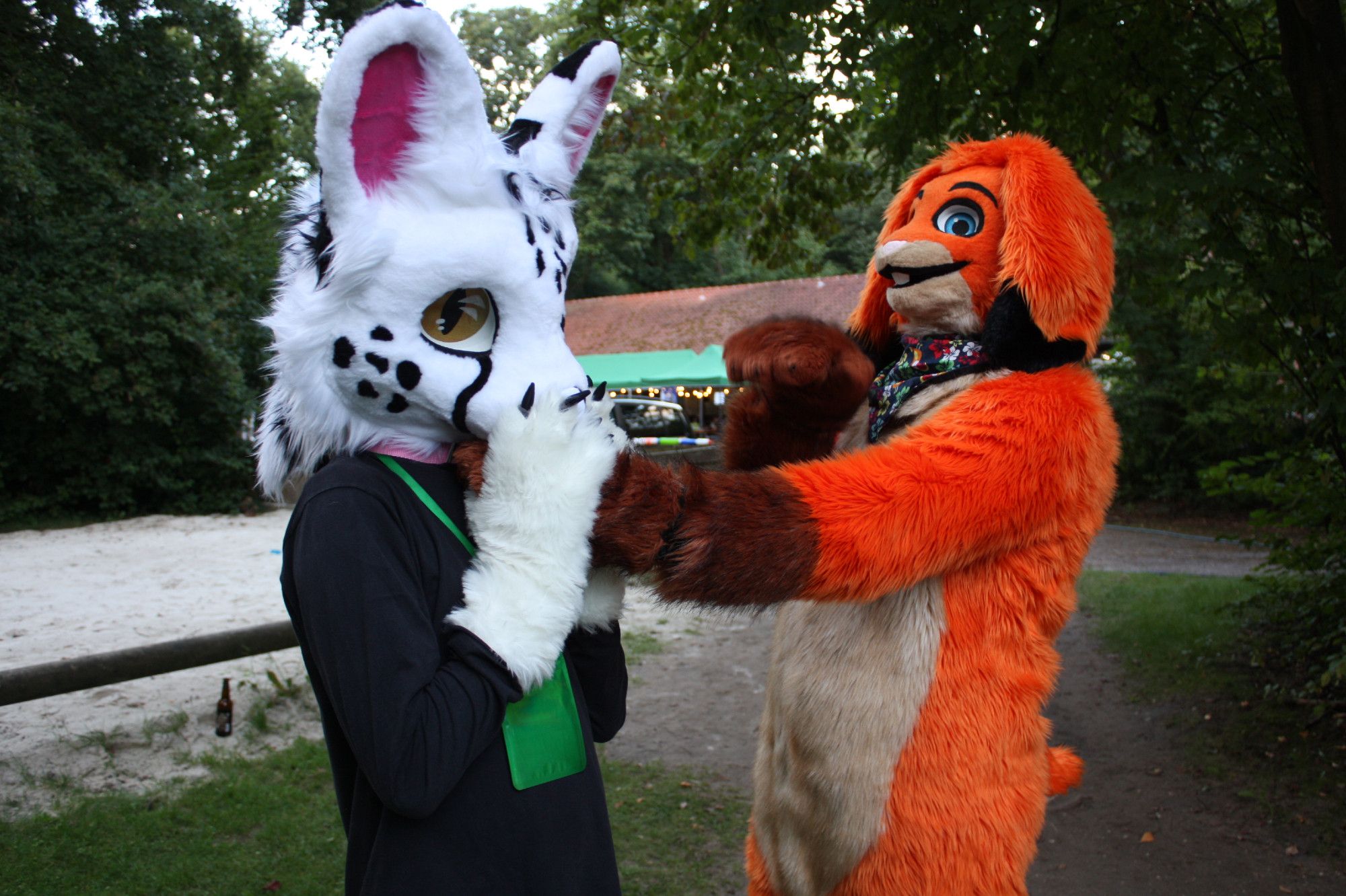 Photo of a white serval fursuiter trying to eat the paw of an orange bunny fursuiter.