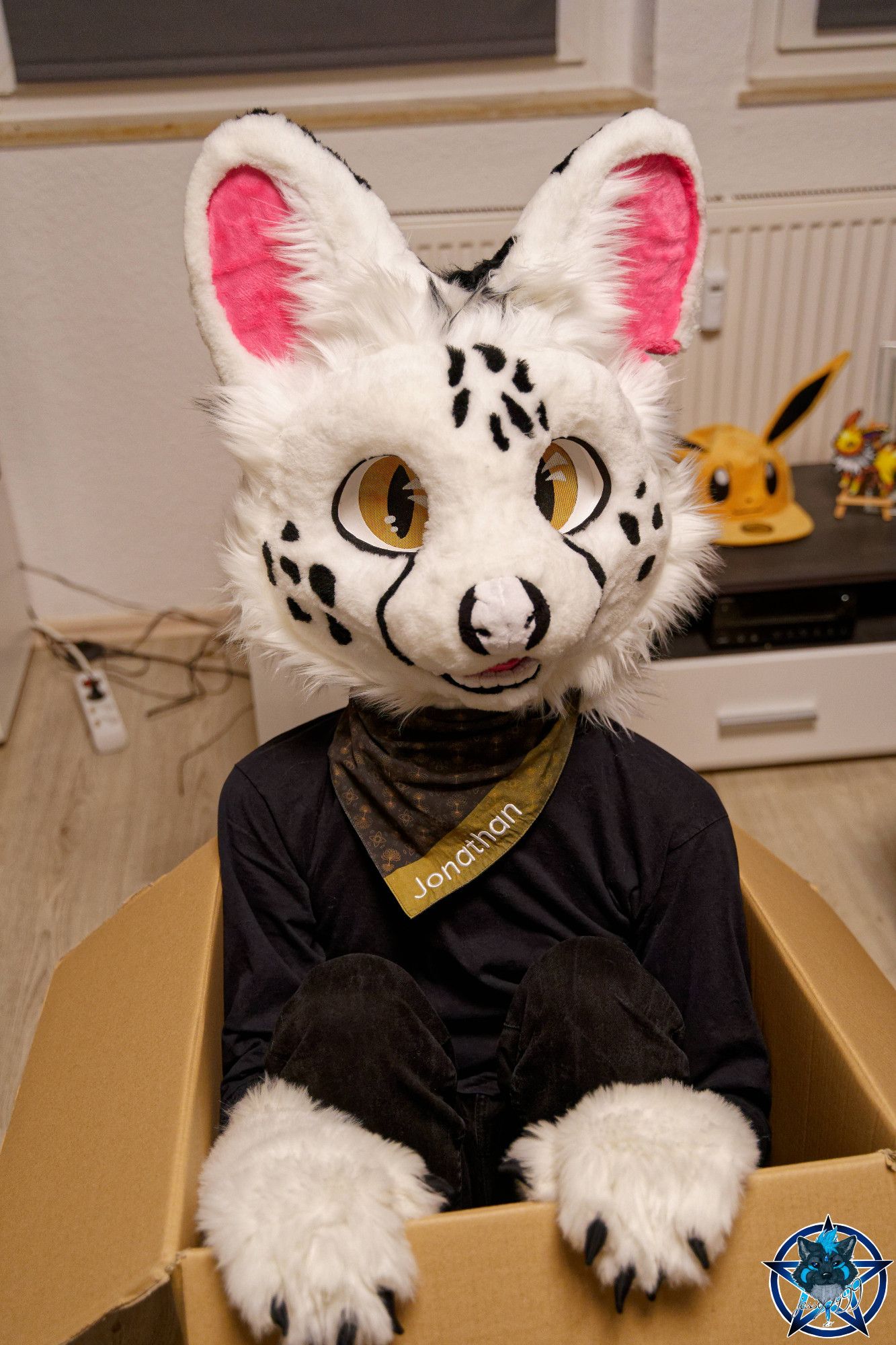 Photo of a white serval partial fursuiter sitting in a box.