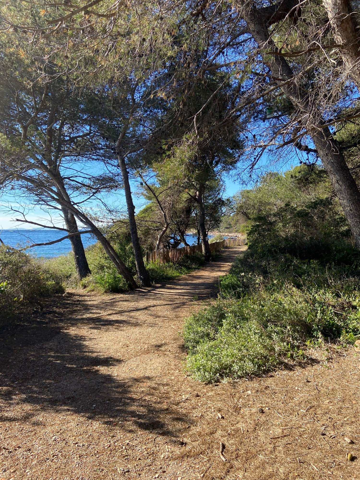 Île saint Honorat au soleil