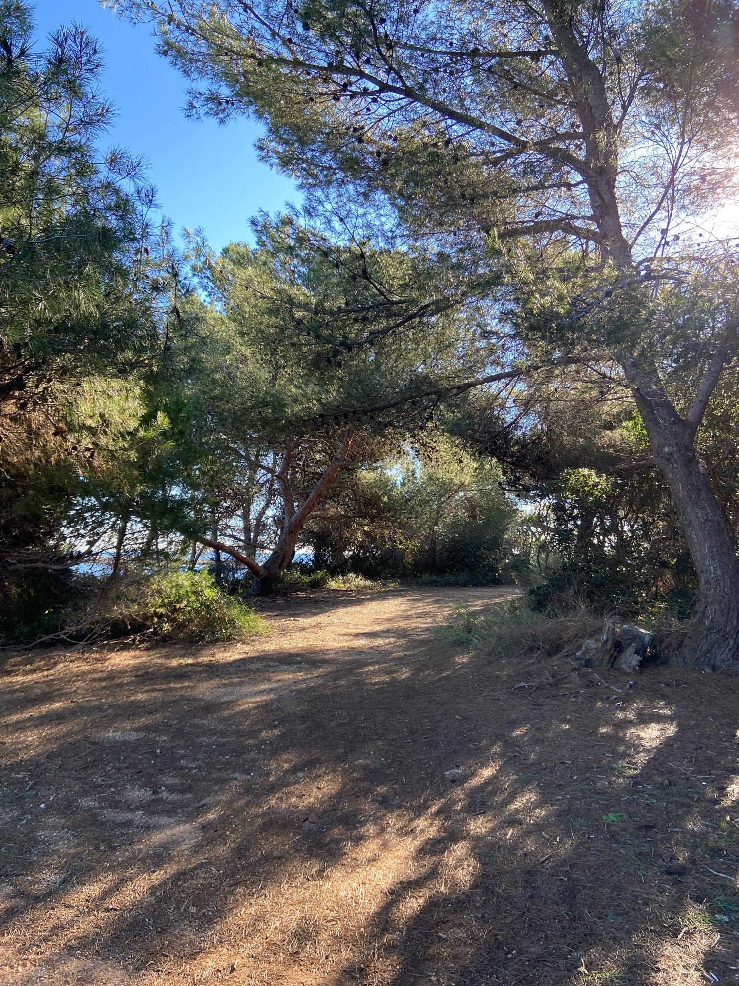 Chemin au soleil