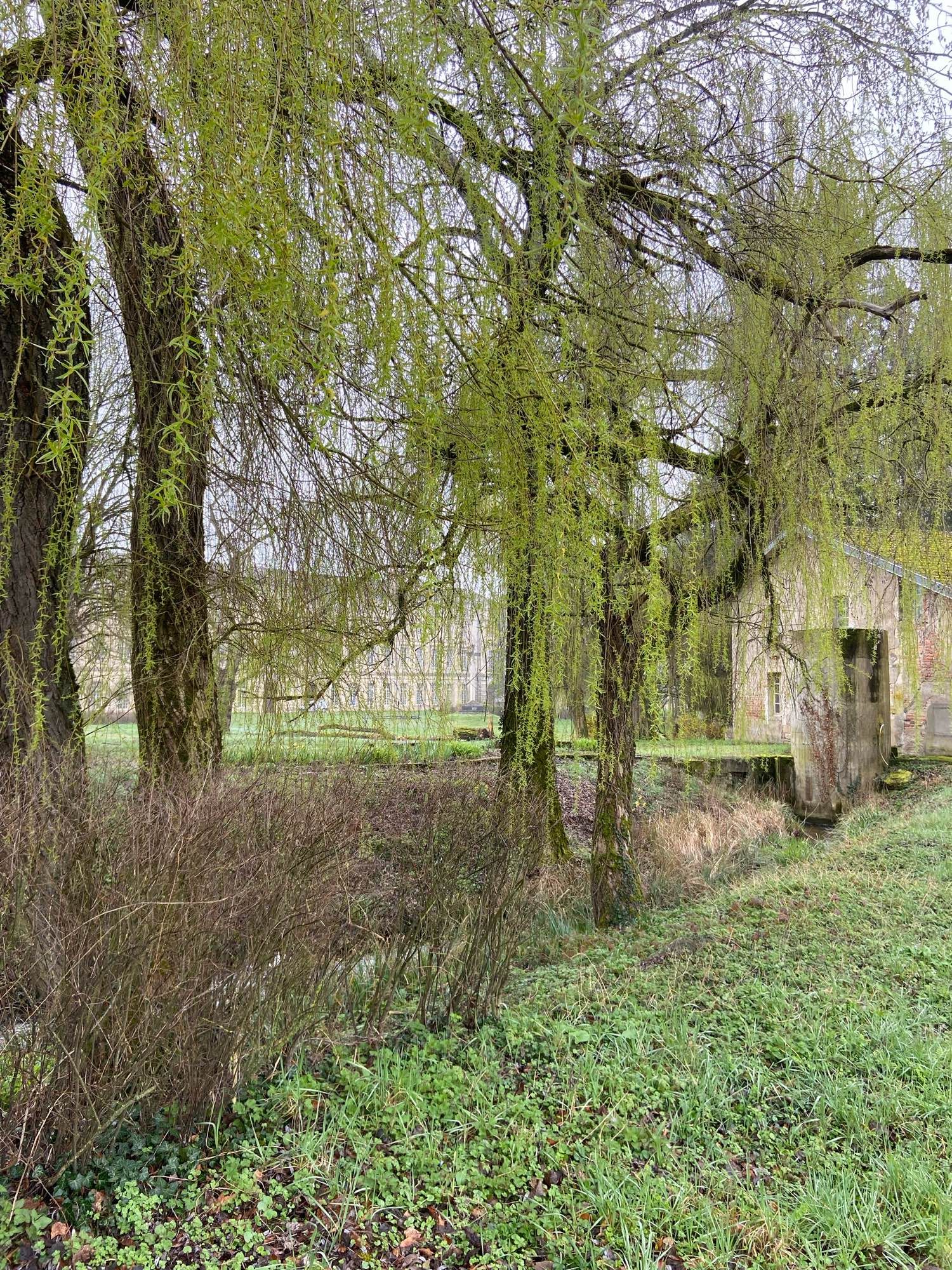 Bâtiments abbaye de Citeaux