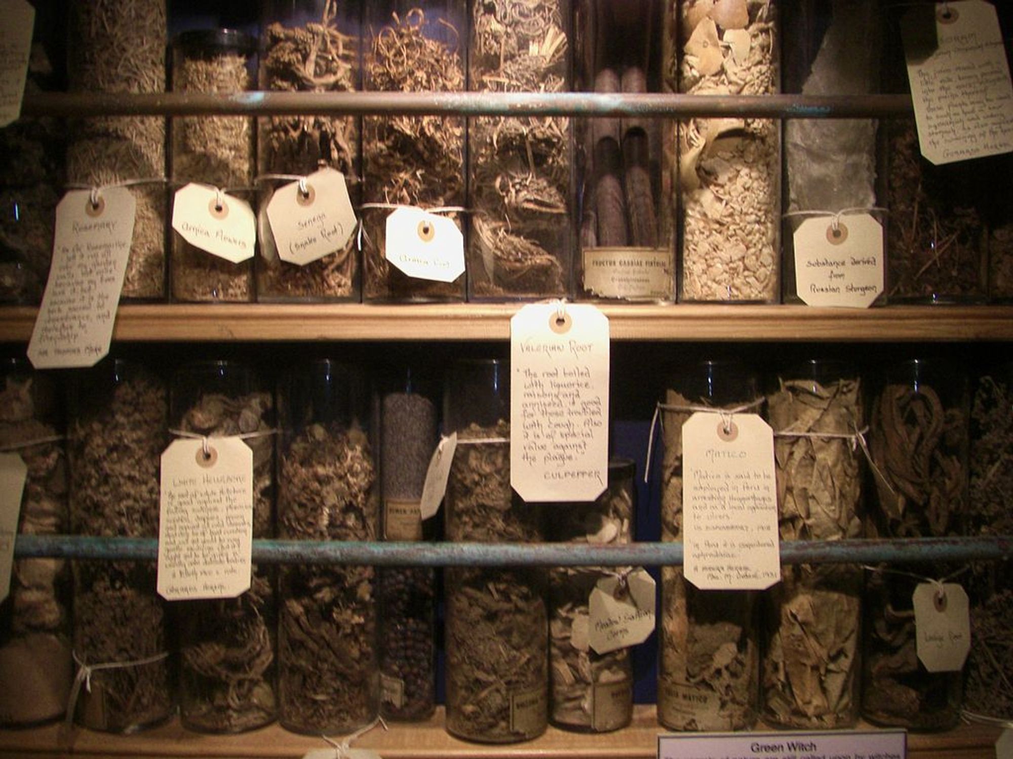 Photo is of a variety of herbs and floral ingredients used by British wise women and cunning men in their elixirs.