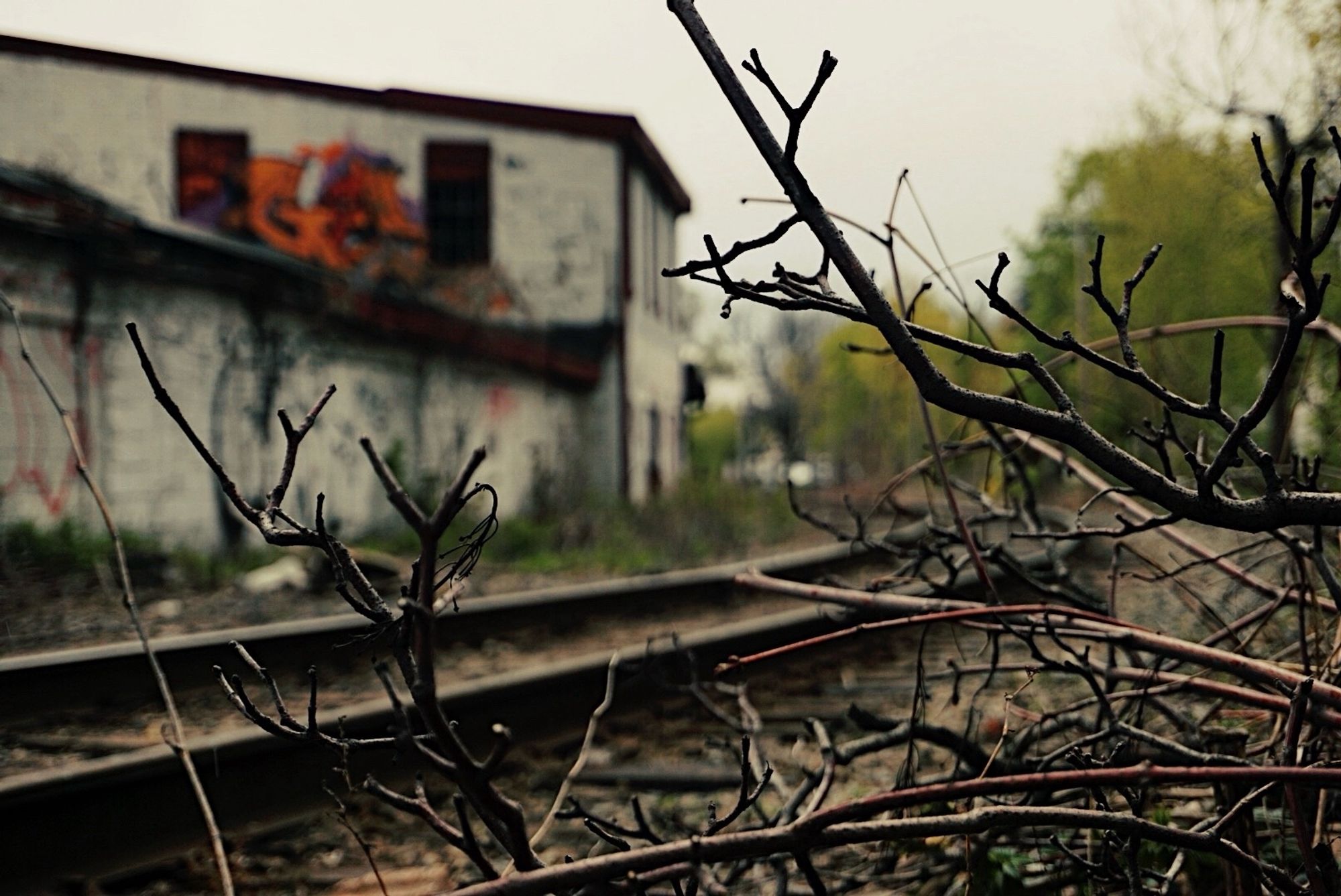 An abandoned and graffitied building along train tracks.