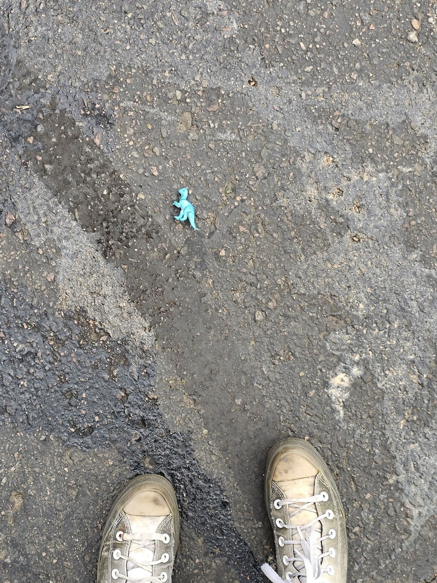 Pictured is a tiny, bright blue plastic dinosaur forgotten in a safeway parking lot and Adolin's gray shoes.