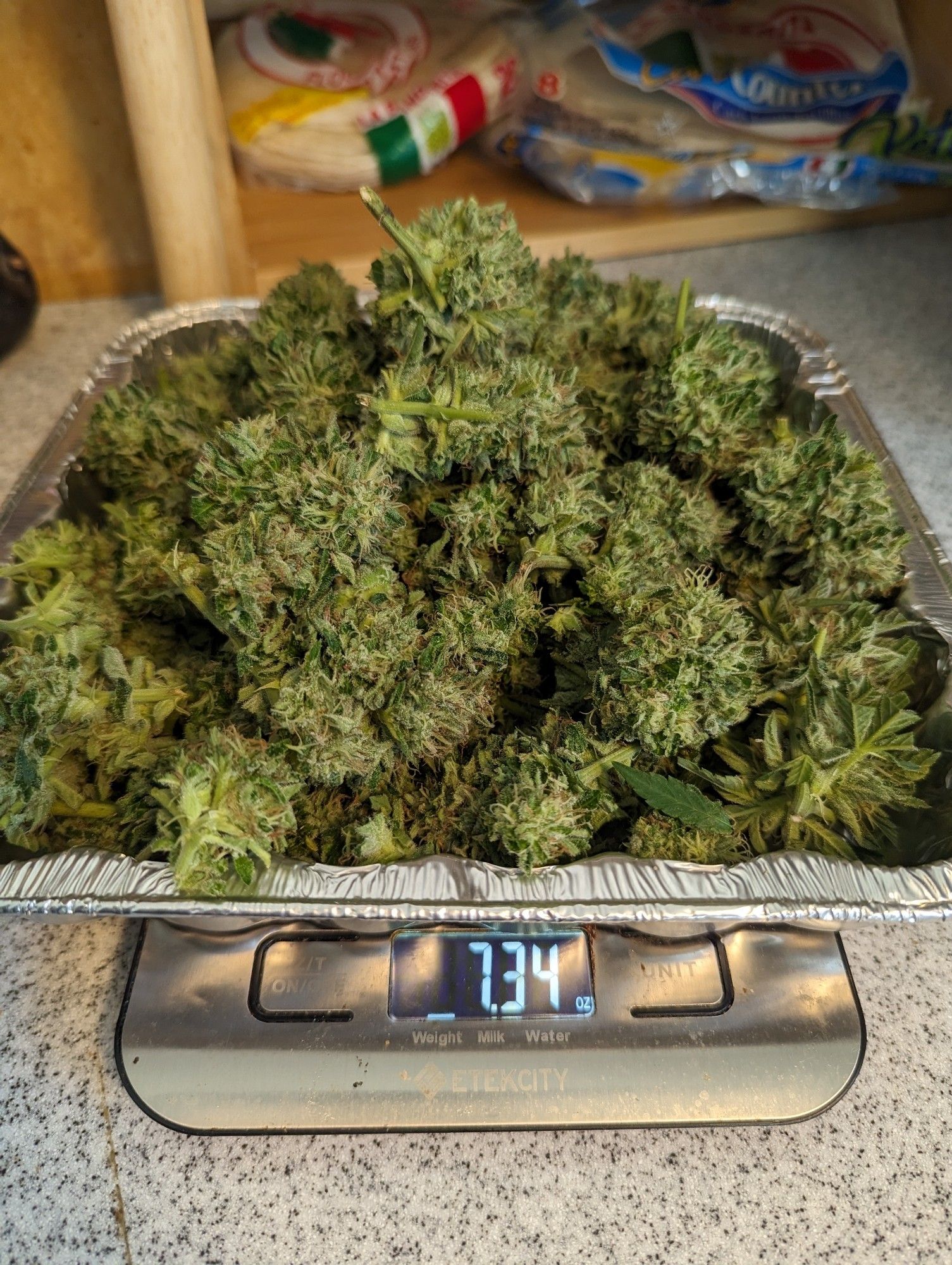 7.34 oz of weed on a scale