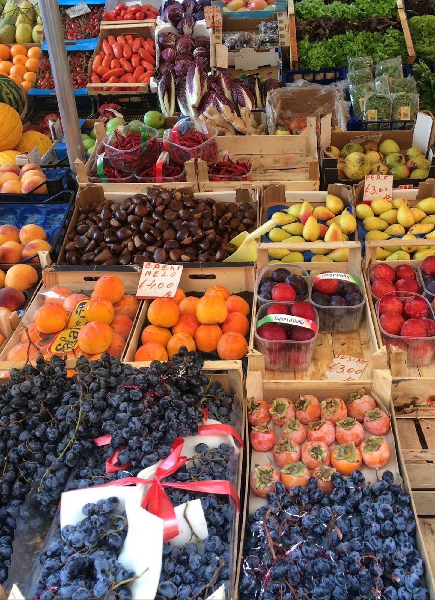 Zwetschken, Pfirsiche, Birnen uvm. in Obstkisten