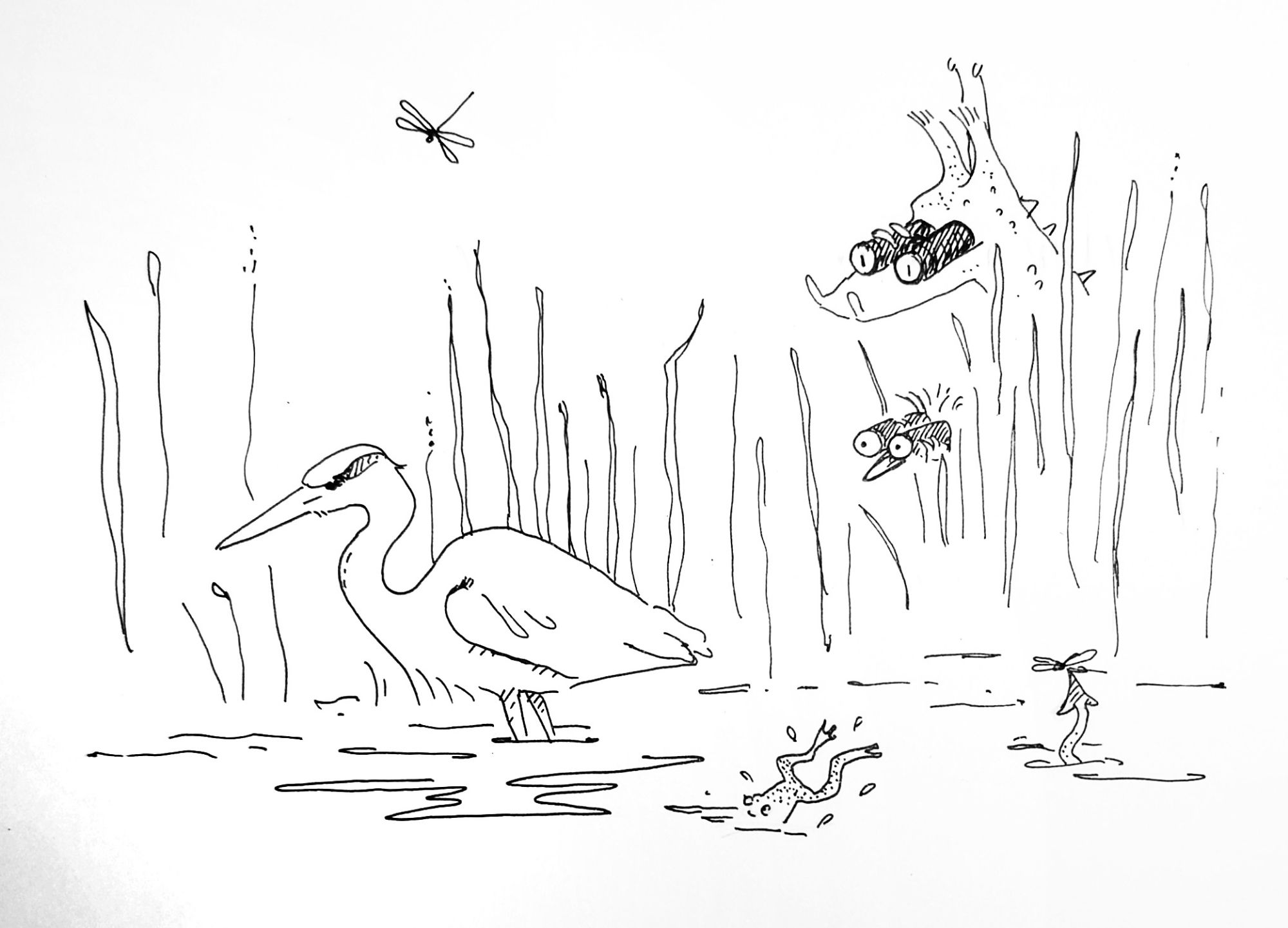 Ink drawing of a Heron in reeds and a dragon looking through binoculars