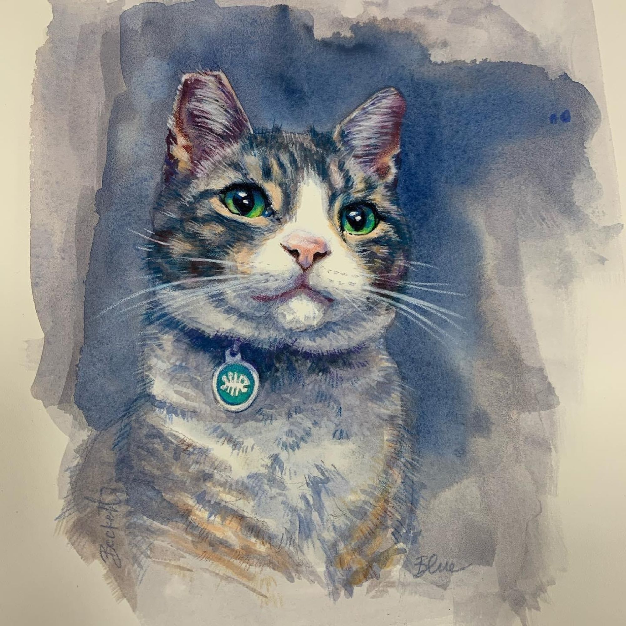 Acrylic and colored pencil drawing of Blue, who passed away a while back. He's looking up and to the right with bright green eyes and tabby blue striped fur, with a little fish on his collar.