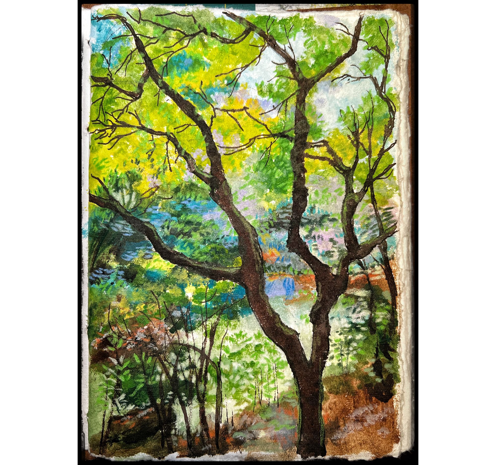 Painting in a rough-edged sketchbook of the Japanese Garden in the Bellevue Botanical Gardens. A dark tree trunk threads through lots of greens and browns and blues.