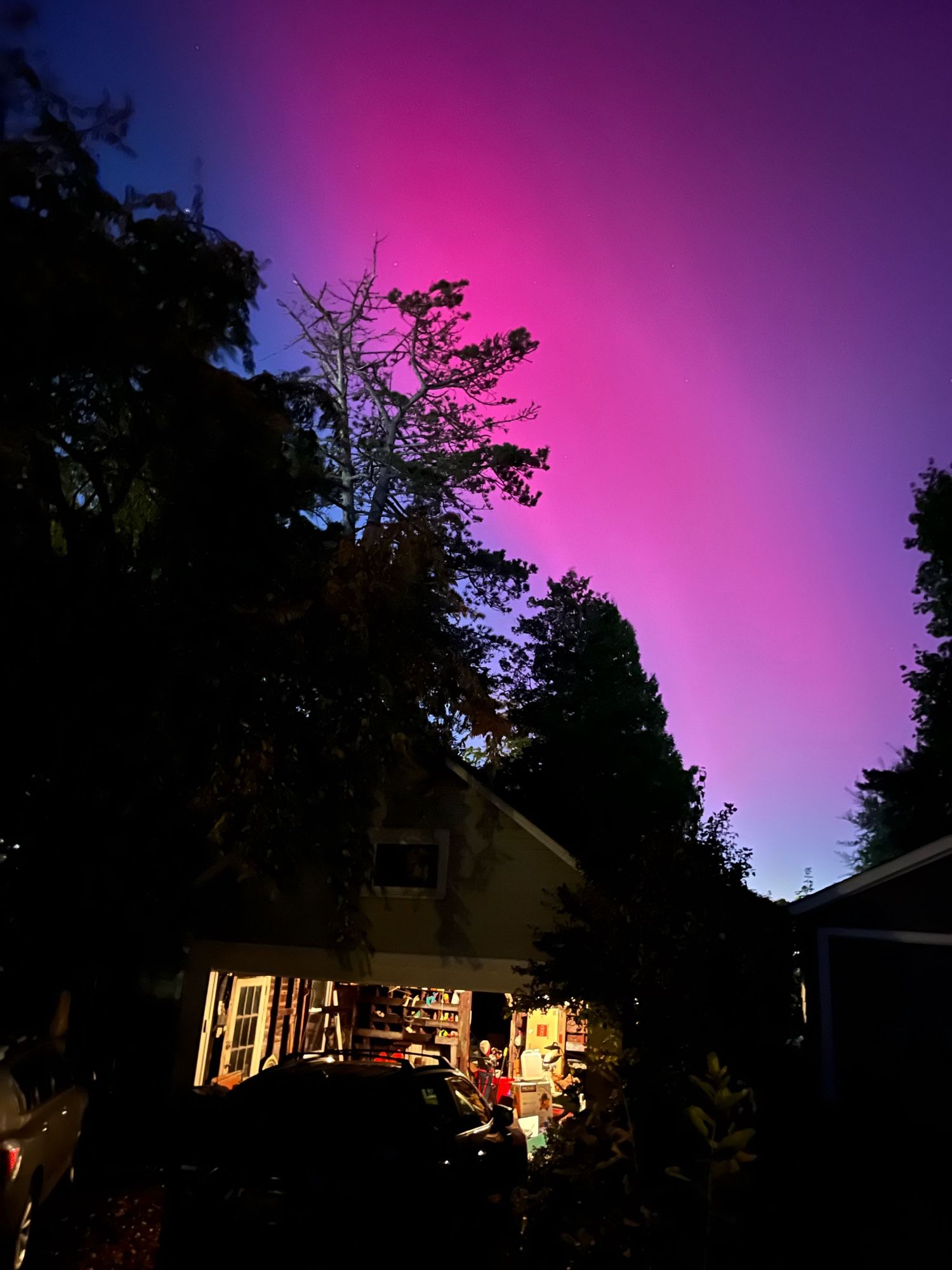 Pink and purple auroras in New Jersey