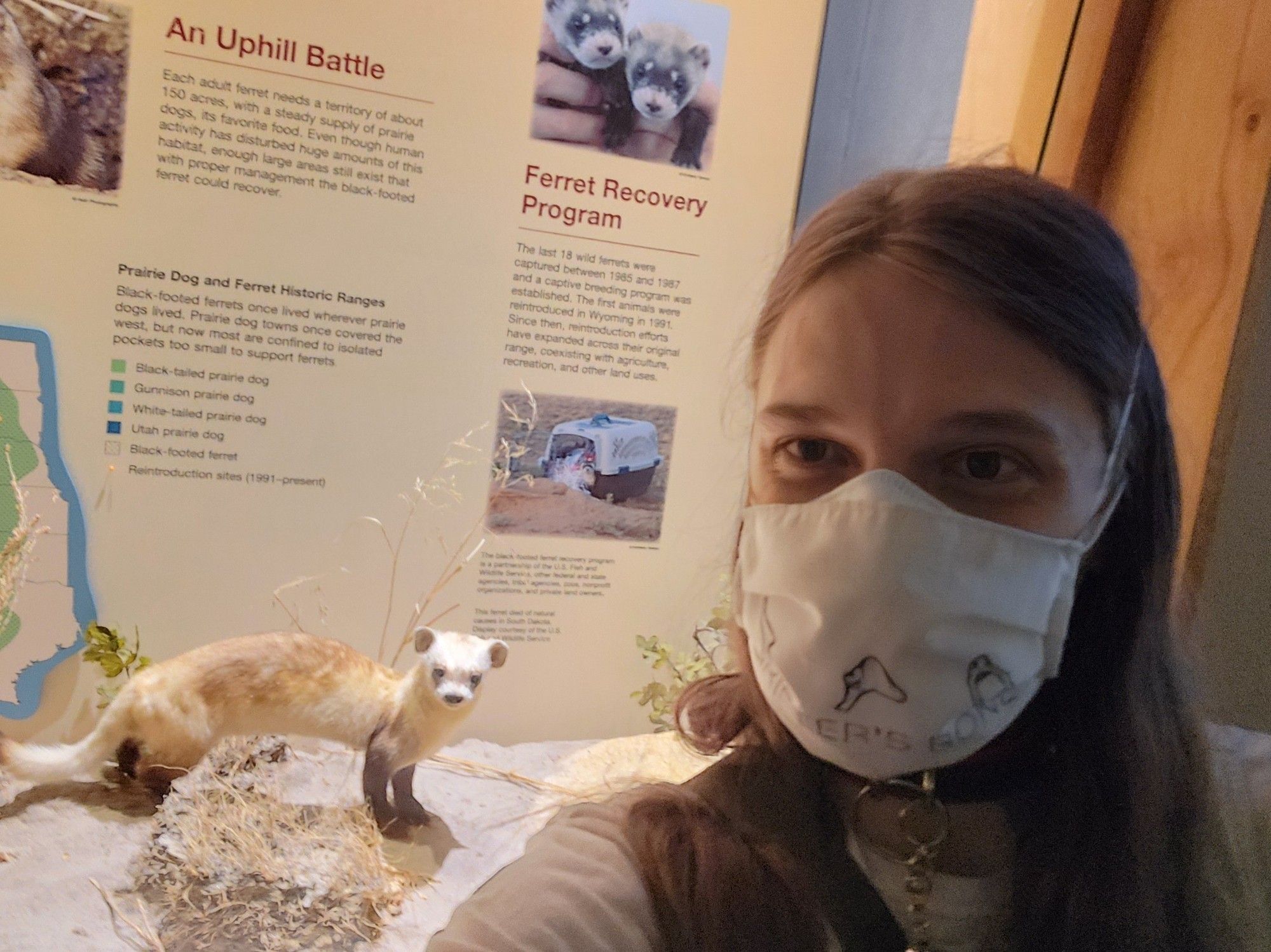 selfie of eli posing in front of a stuffed black footed ferret