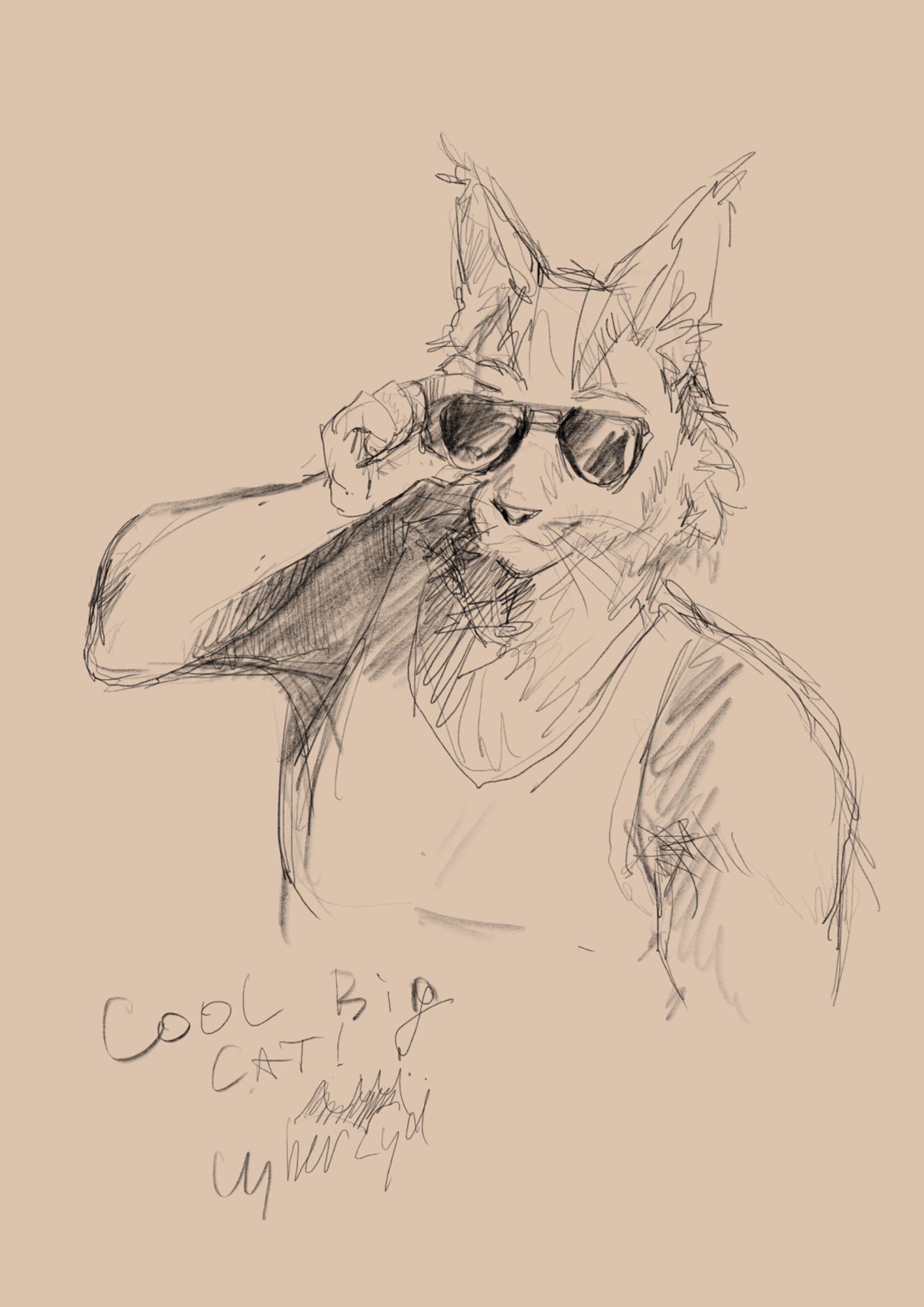 maine coon cat in sunglasses