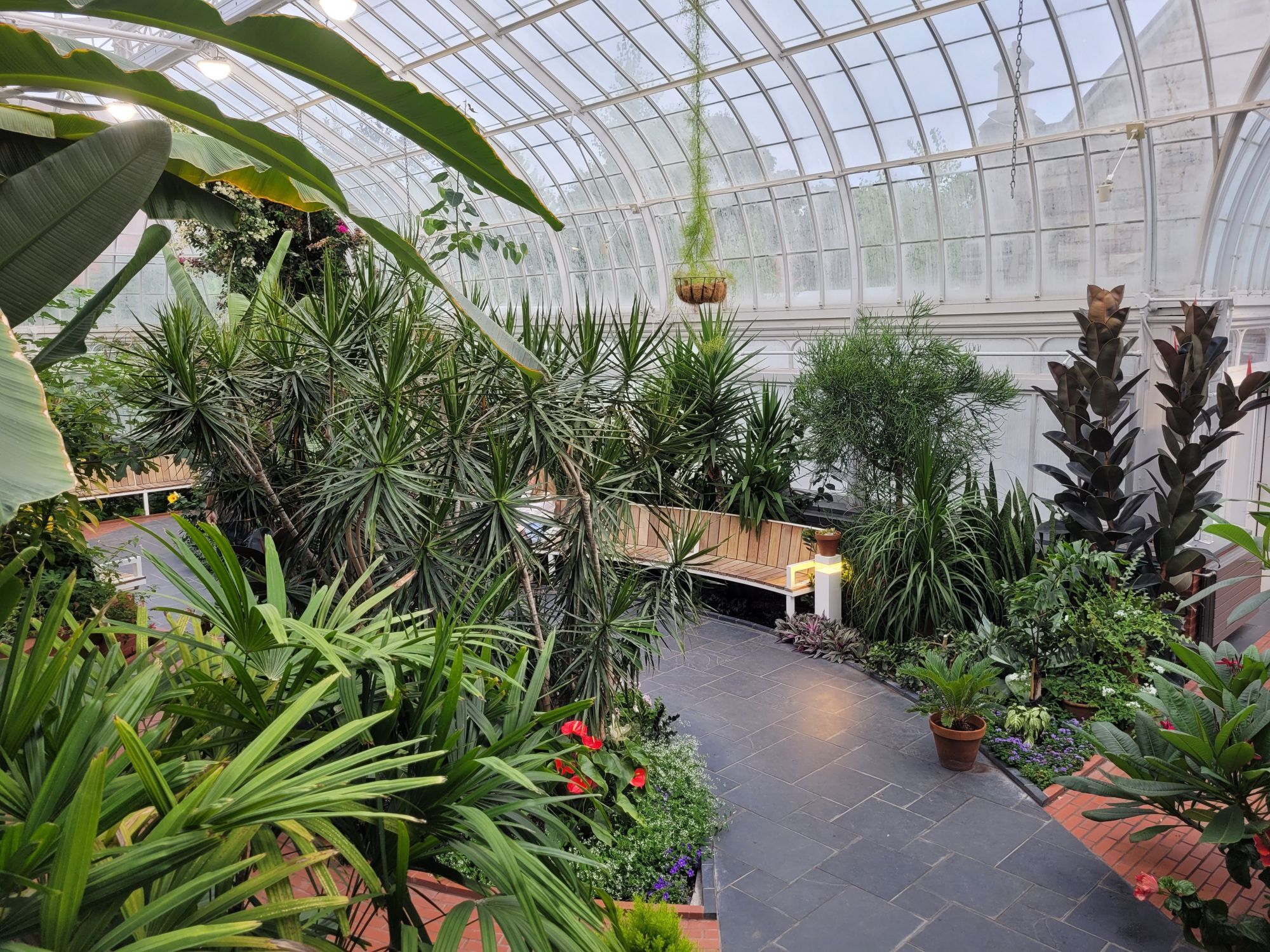 Main greenhouse at the Westmount Public Library