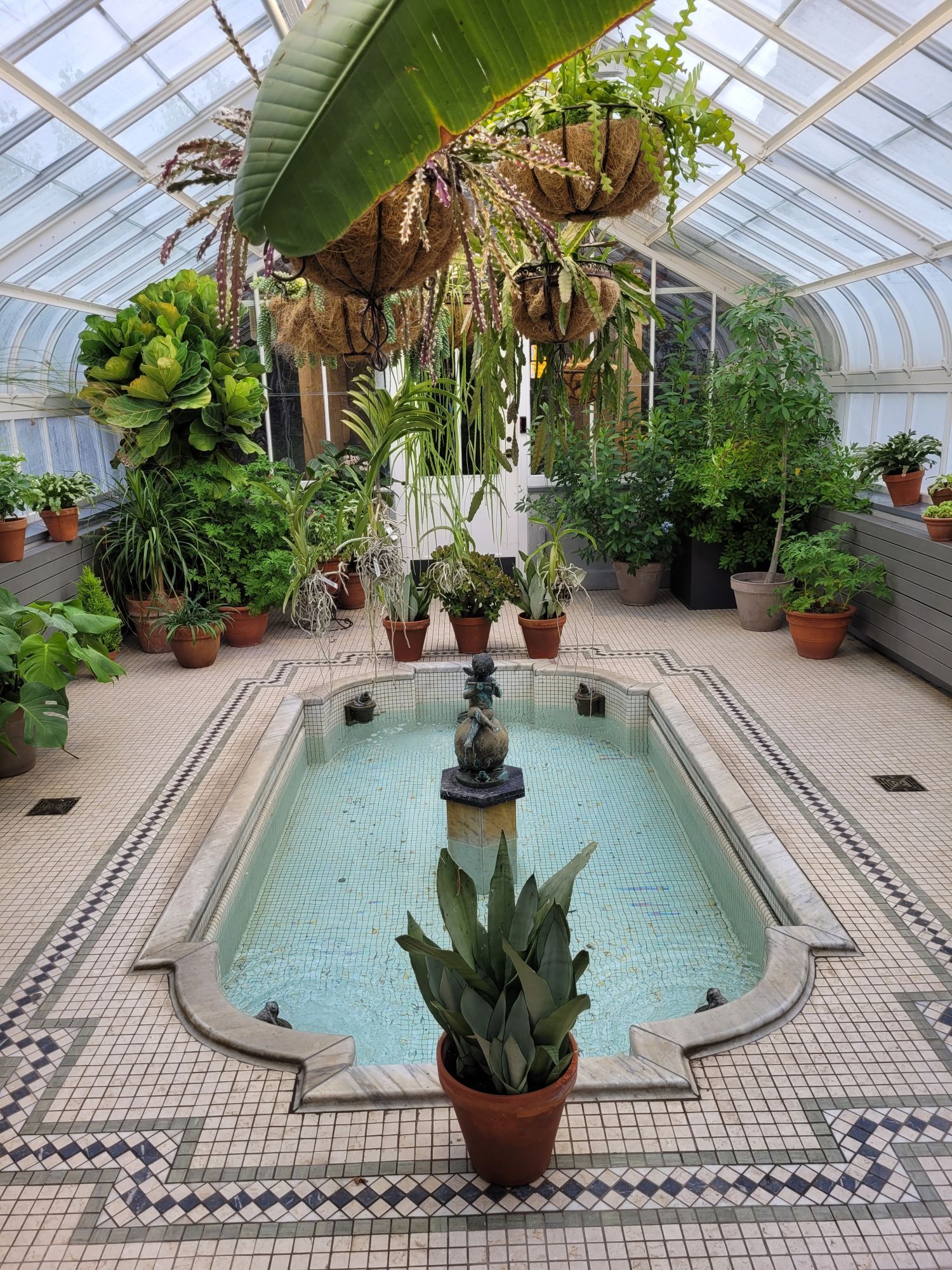 Secondary greenhouse at the Westmount Public Library