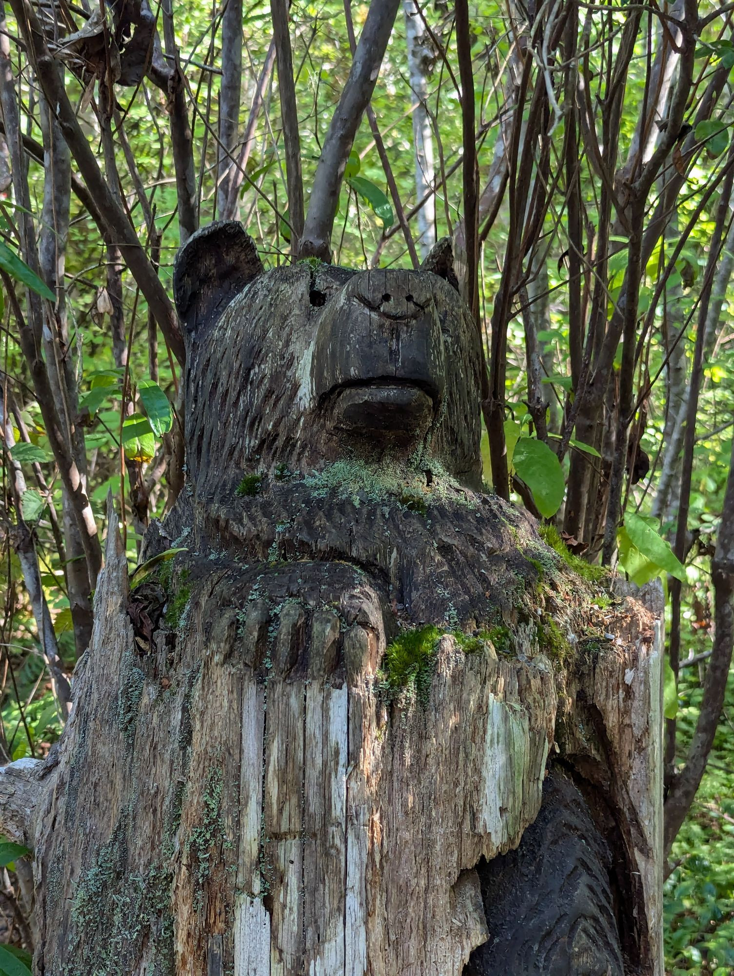 A carving of a bear from an old tree stump 