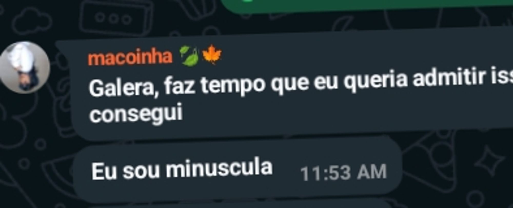 Print do WhatsApp "galera faz tempo eu queria admitir isso, finalmente consegui, eu sou minúscula" 