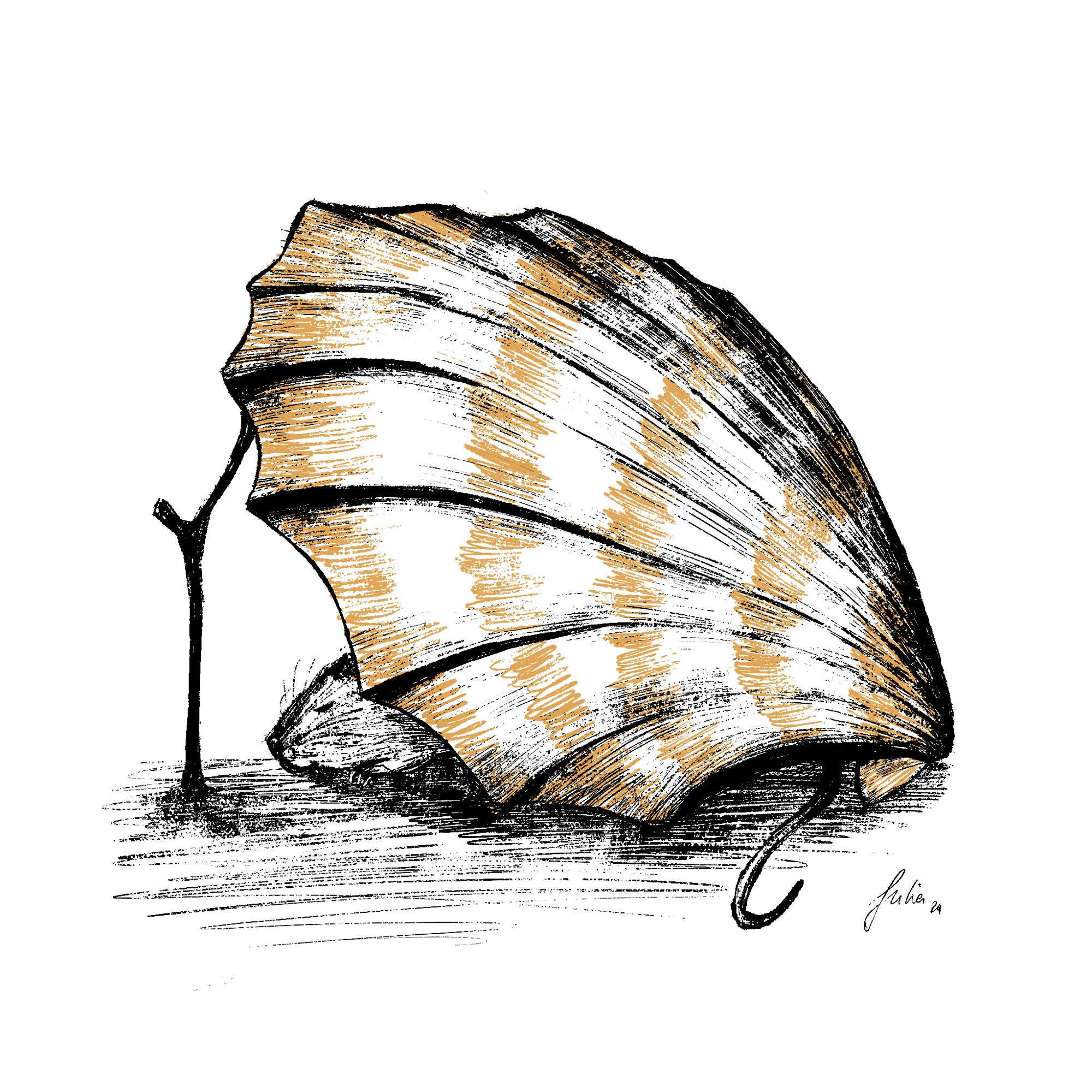 An ink drawing of a mouse sleeping under a tent made of a big shell and a stick.