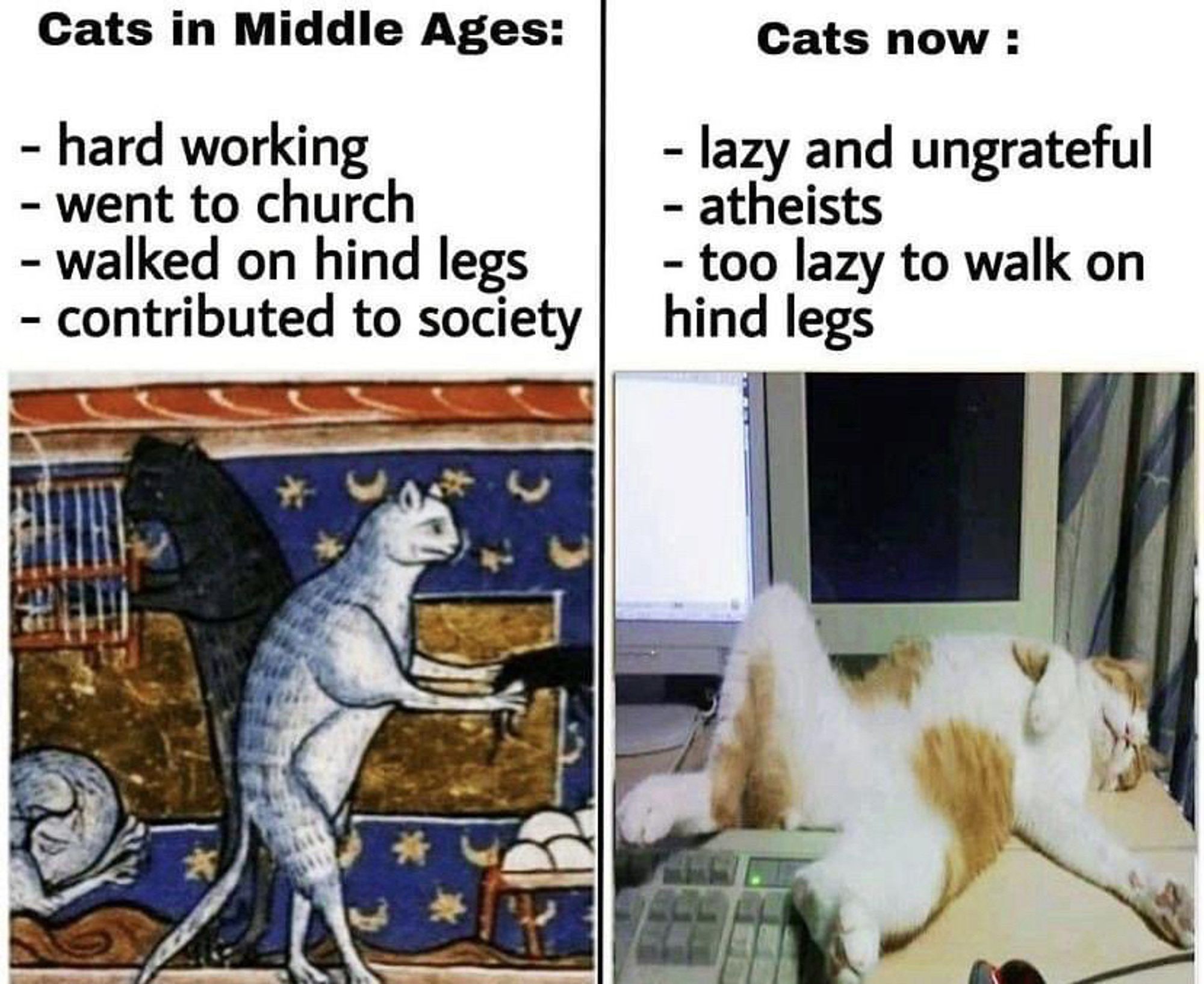 Comparing pious medieval cats to lazy modern cats