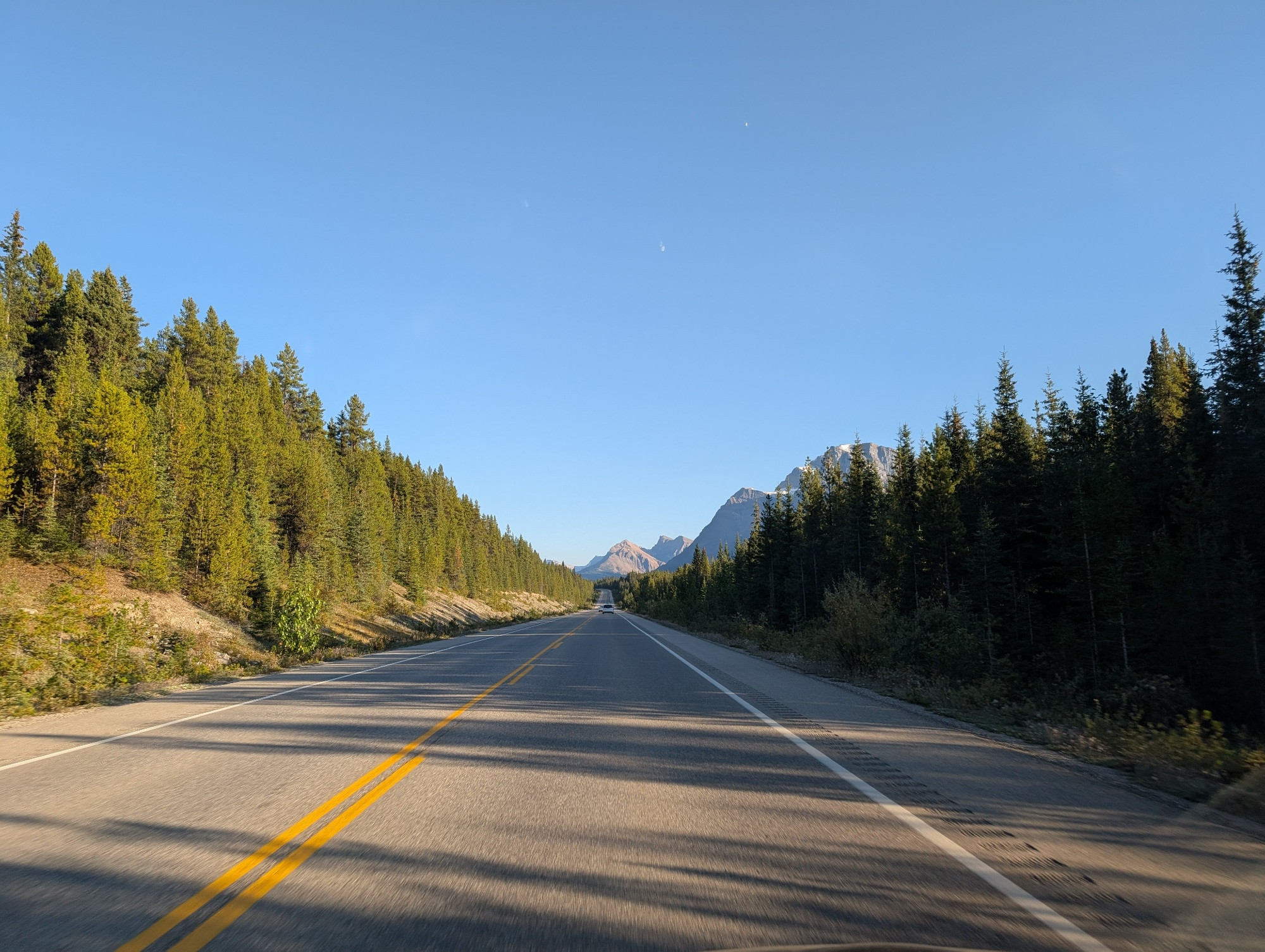 One of the straighter stretches along the icefields parkway. A lot of this drive doesn't have cell service, so make sure you have some music downloaded!