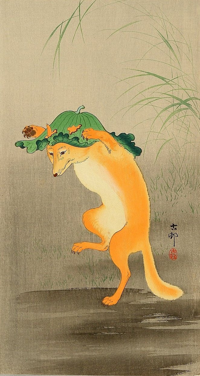 A fox stands on hind legs with forelegs up holding a large leaf on its head.