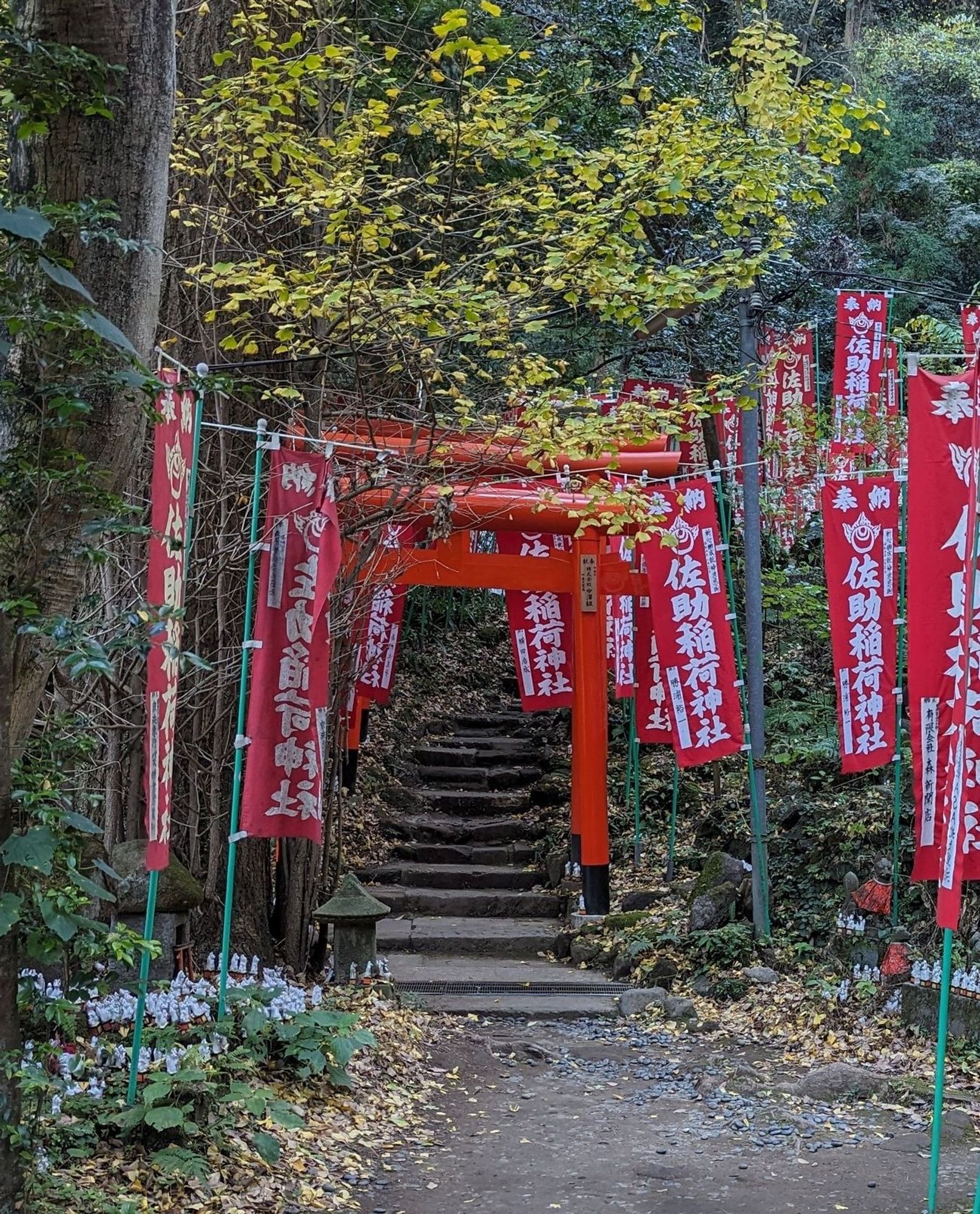 Stairs leading up through a row of red torii gates with forest either side. Many tiny white porcelain fox statues can be seen along the path leading to the steps.