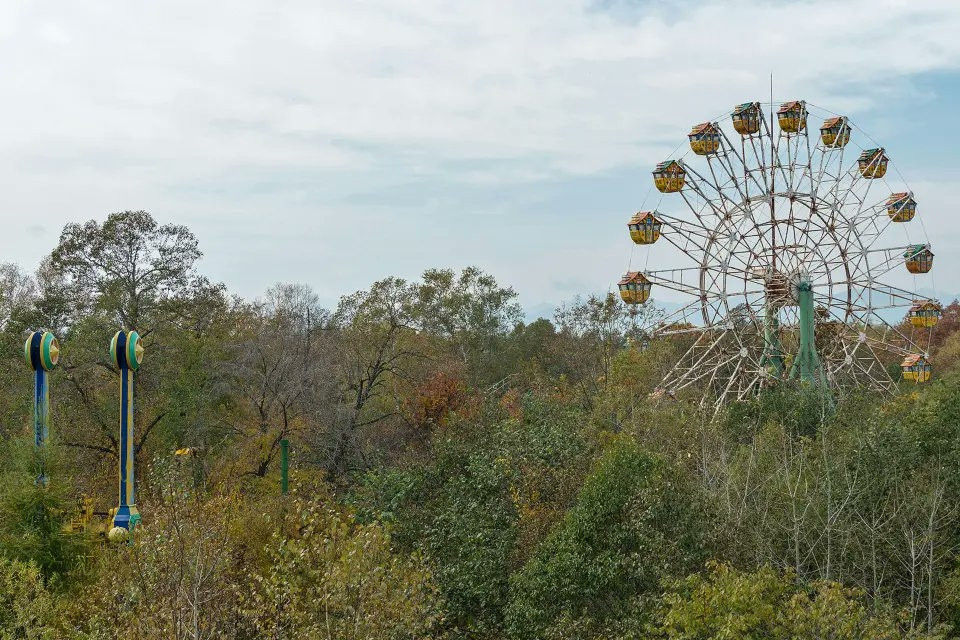 Photograph of an abandoned Ferris wheel amidst an overgrown forest.