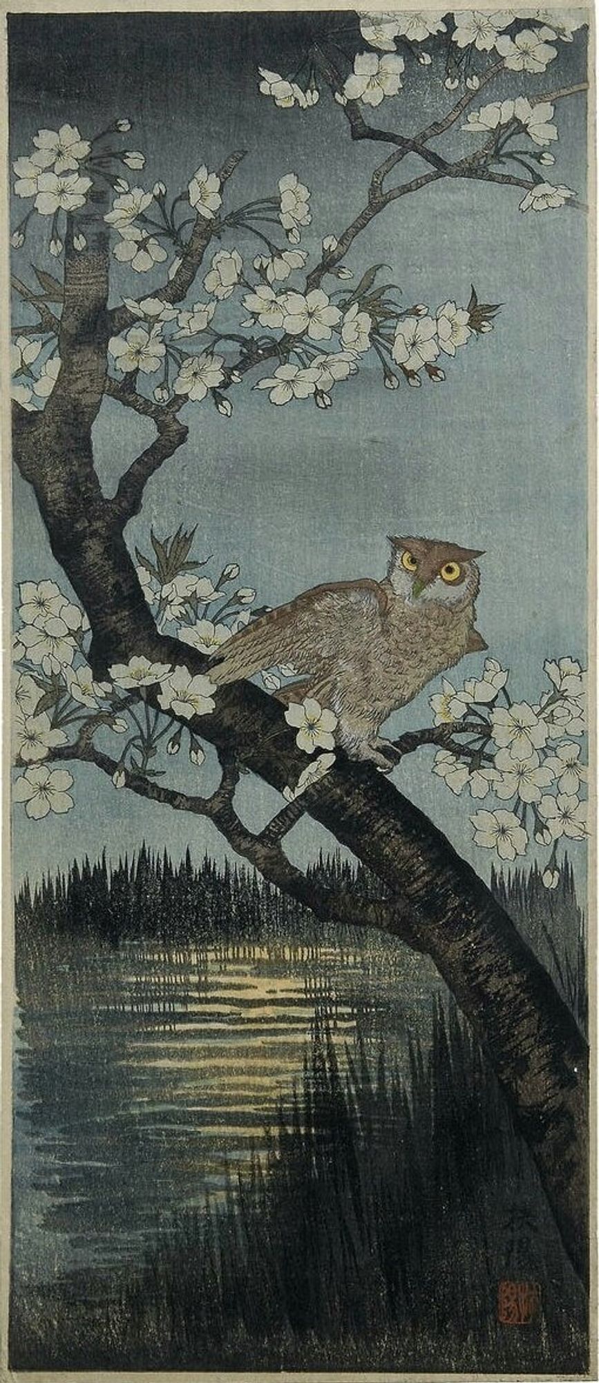 Japanese print depicting an owl sitting in a cherry tree. There are white blossoms on the tree. Moonlight is reflecting on the river in the background.