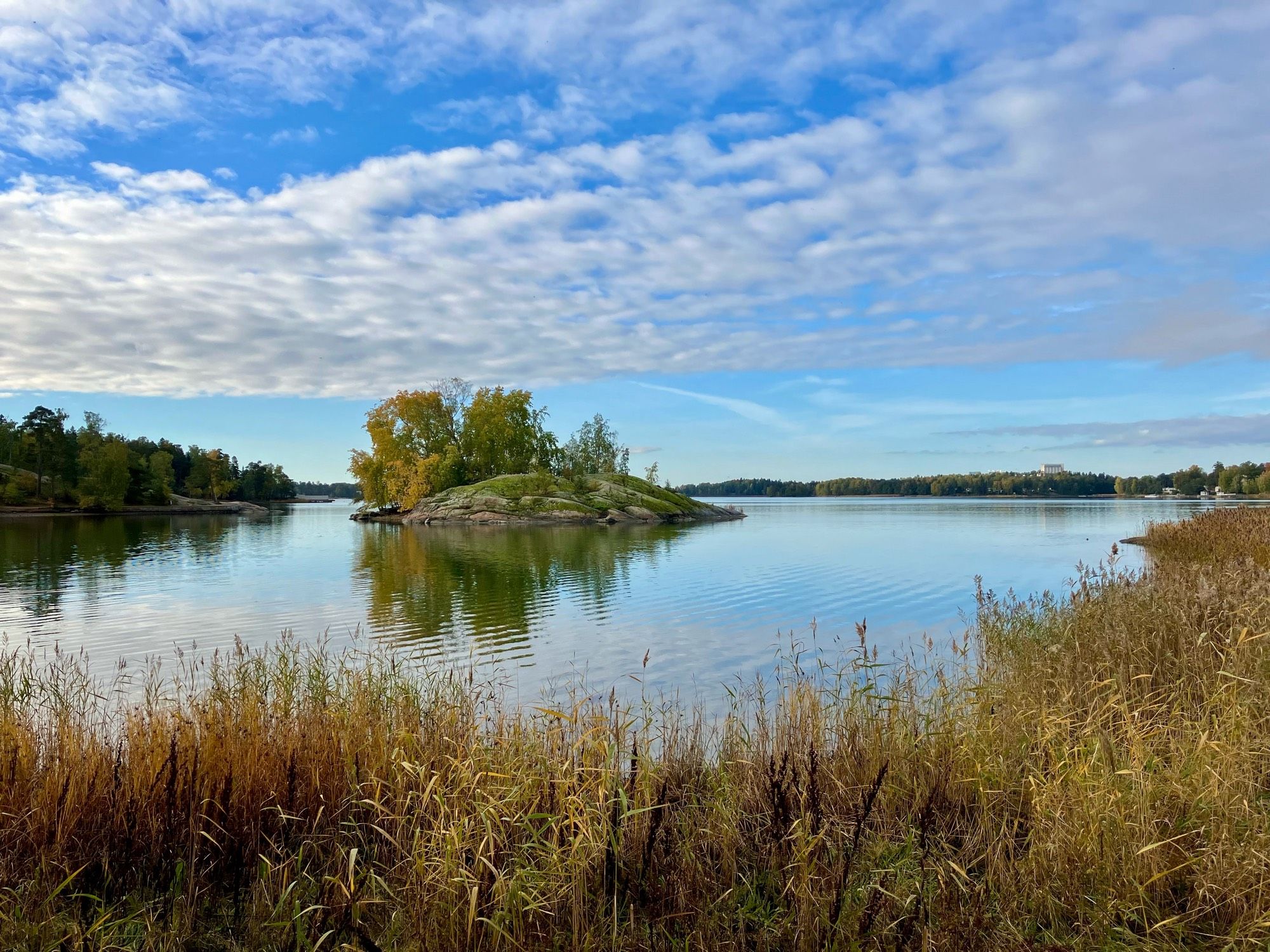 Seurasaari. Etualalla ruovikkoa, taustalla näkymä pieneen saareen.