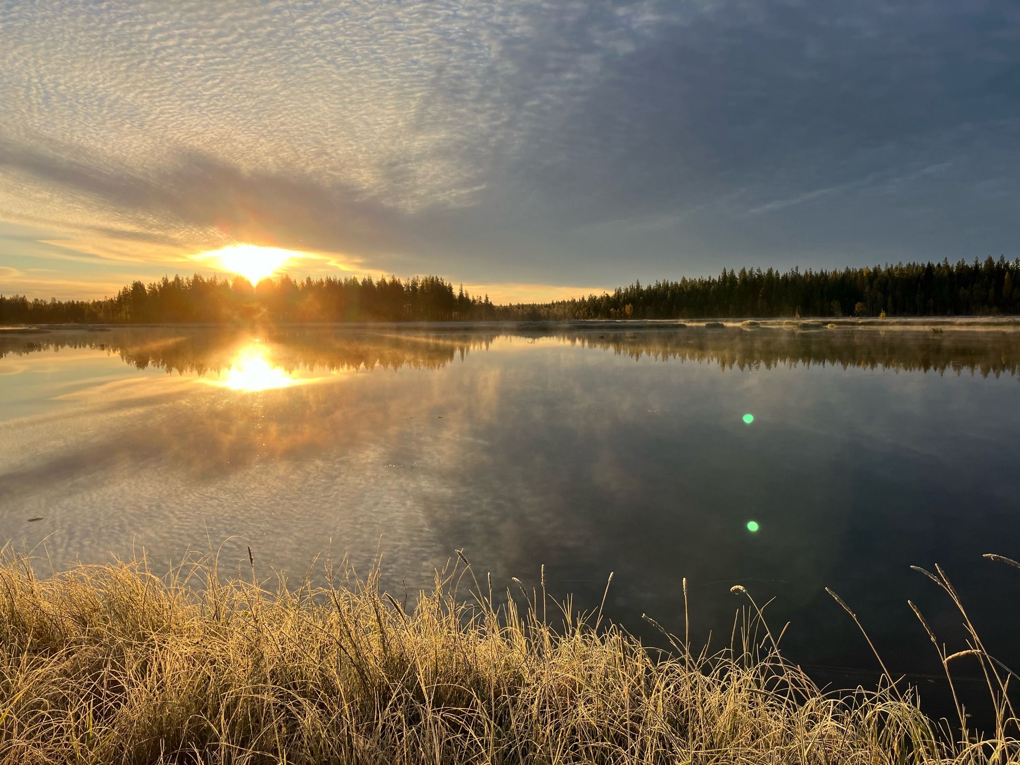 Auringon loimua pakkasaamuna lammen takana.