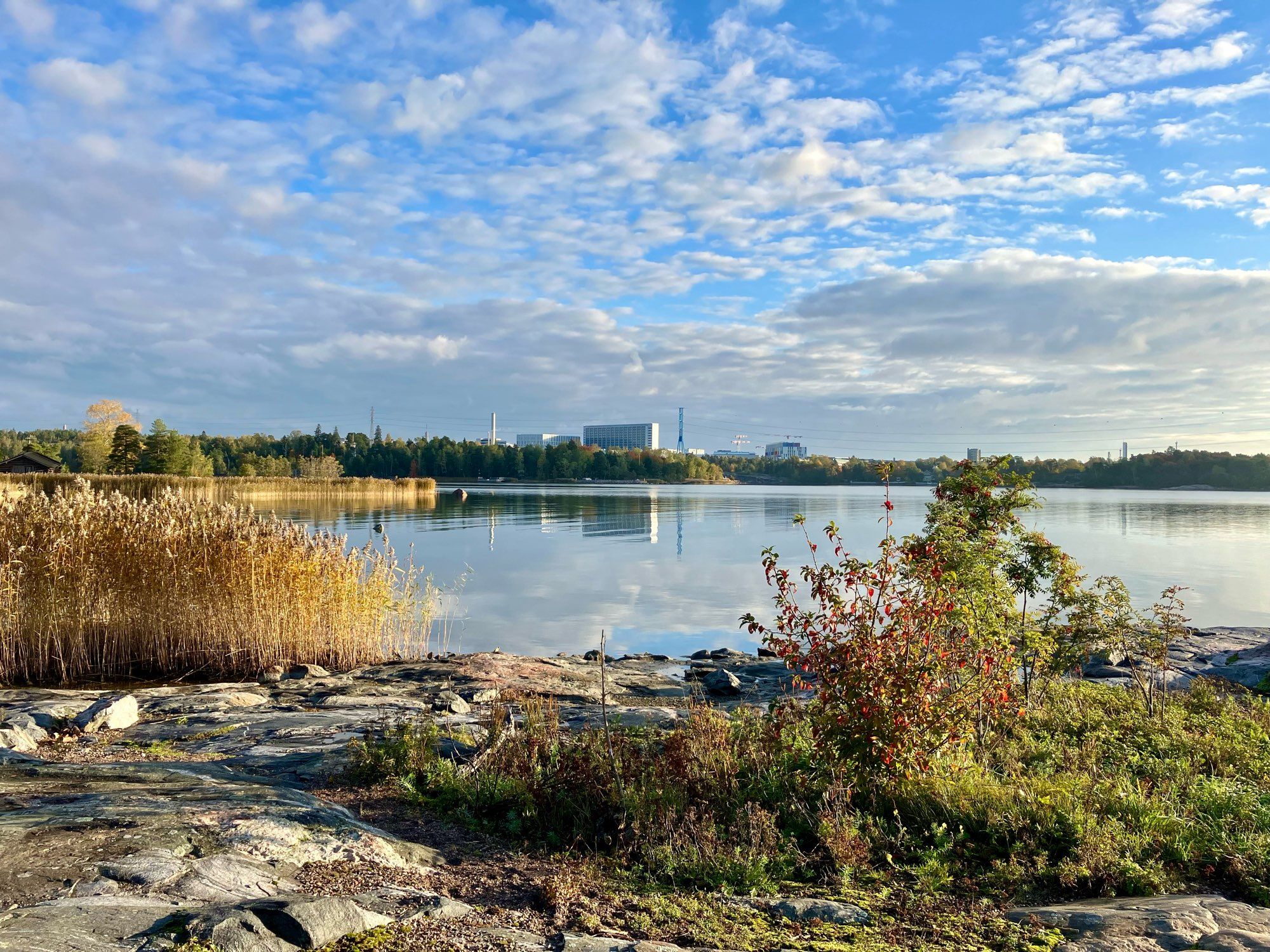 Seurasaari. Näkymä Meilahden sairaalaan.