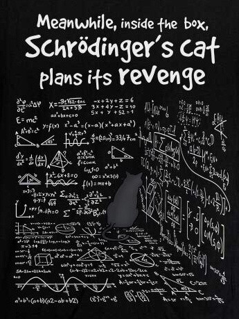T shirt design with a cat surrounded by walls with equations on, and the words "Meanwhile, inside the box, Schrodinger's cat plans its revenge" 